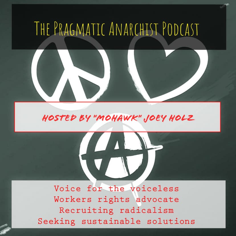 The Pragmatic Anarchist cover