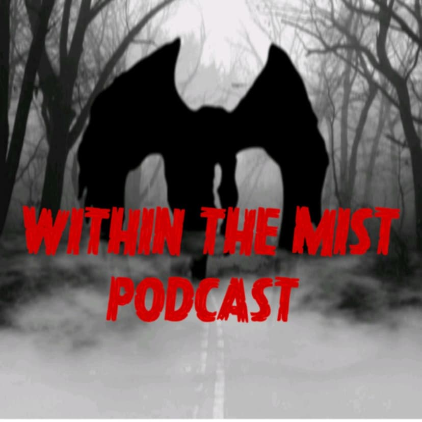 Within The Mist cover