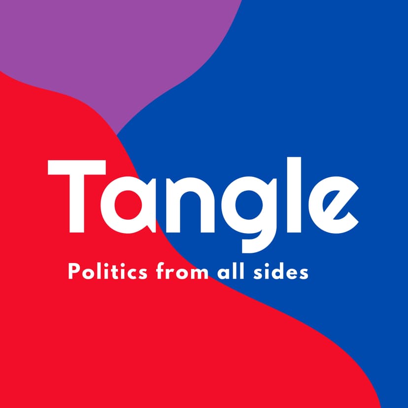 Tangle cover