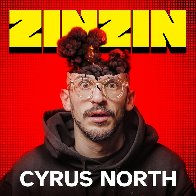 ZINZIN cover