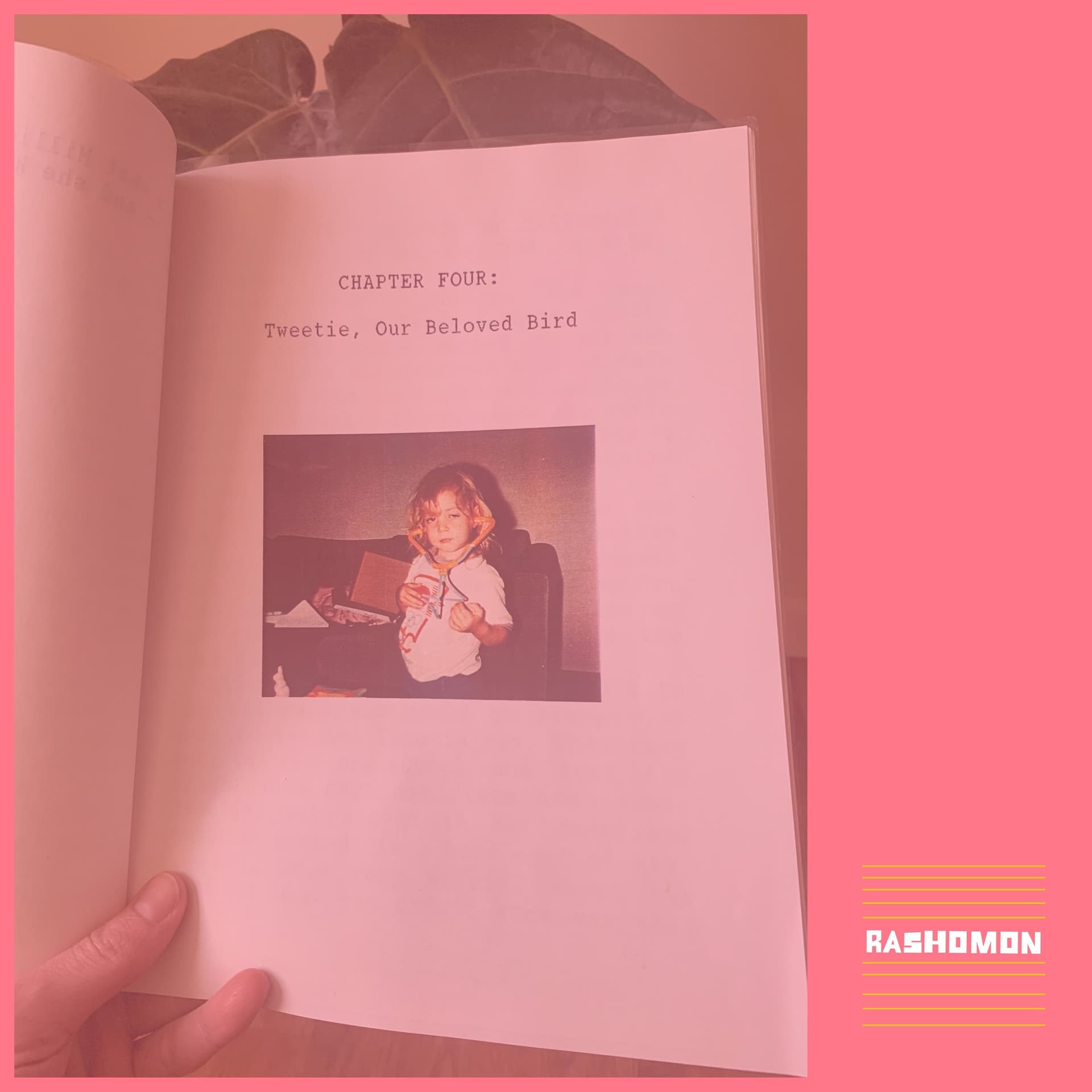 Chapter Four: Tweetie, Our Beloved Bird - Rashomon cover