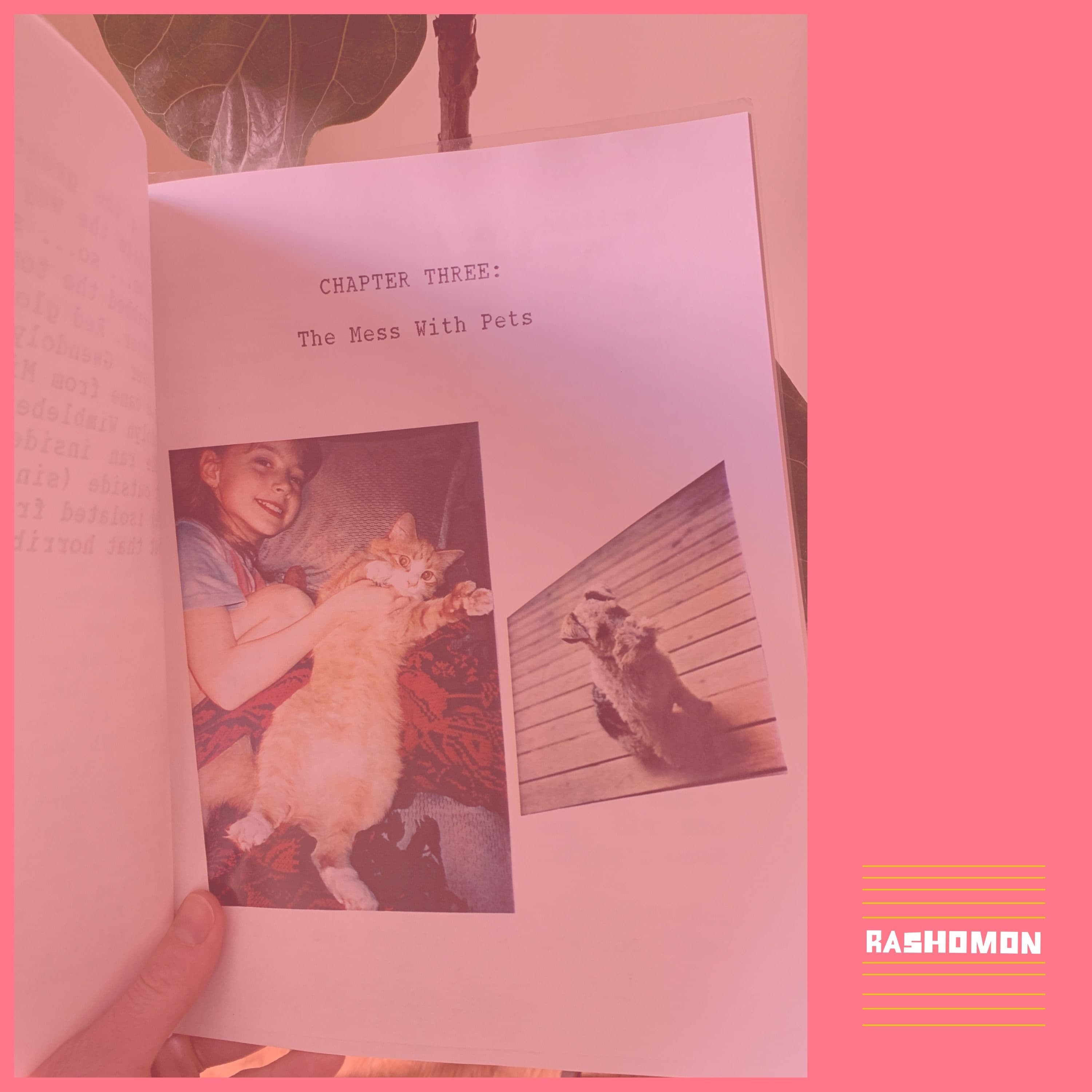 Chapter Three: The Mess With Pets - Rashomon cover