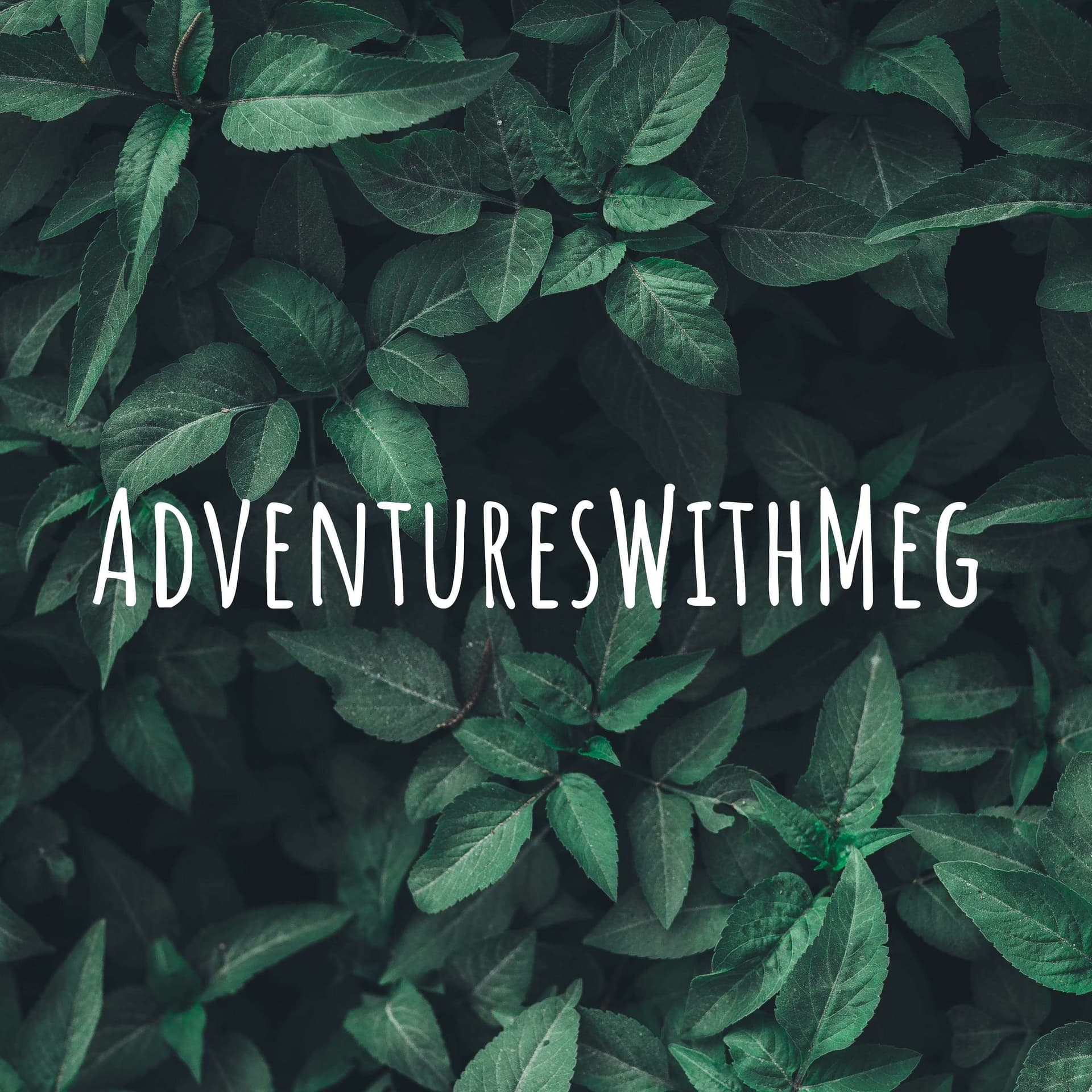 An Interview with: Me - Adventures With Meg cover