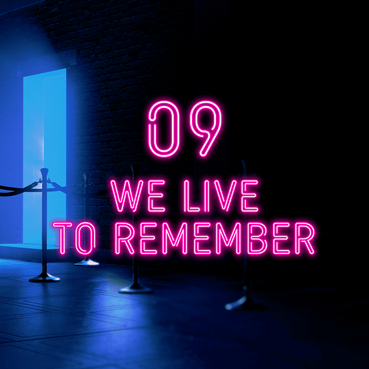 Episode 9: We Live to Remember - Dragonfly: Brett Cantor Murder Mystery cover