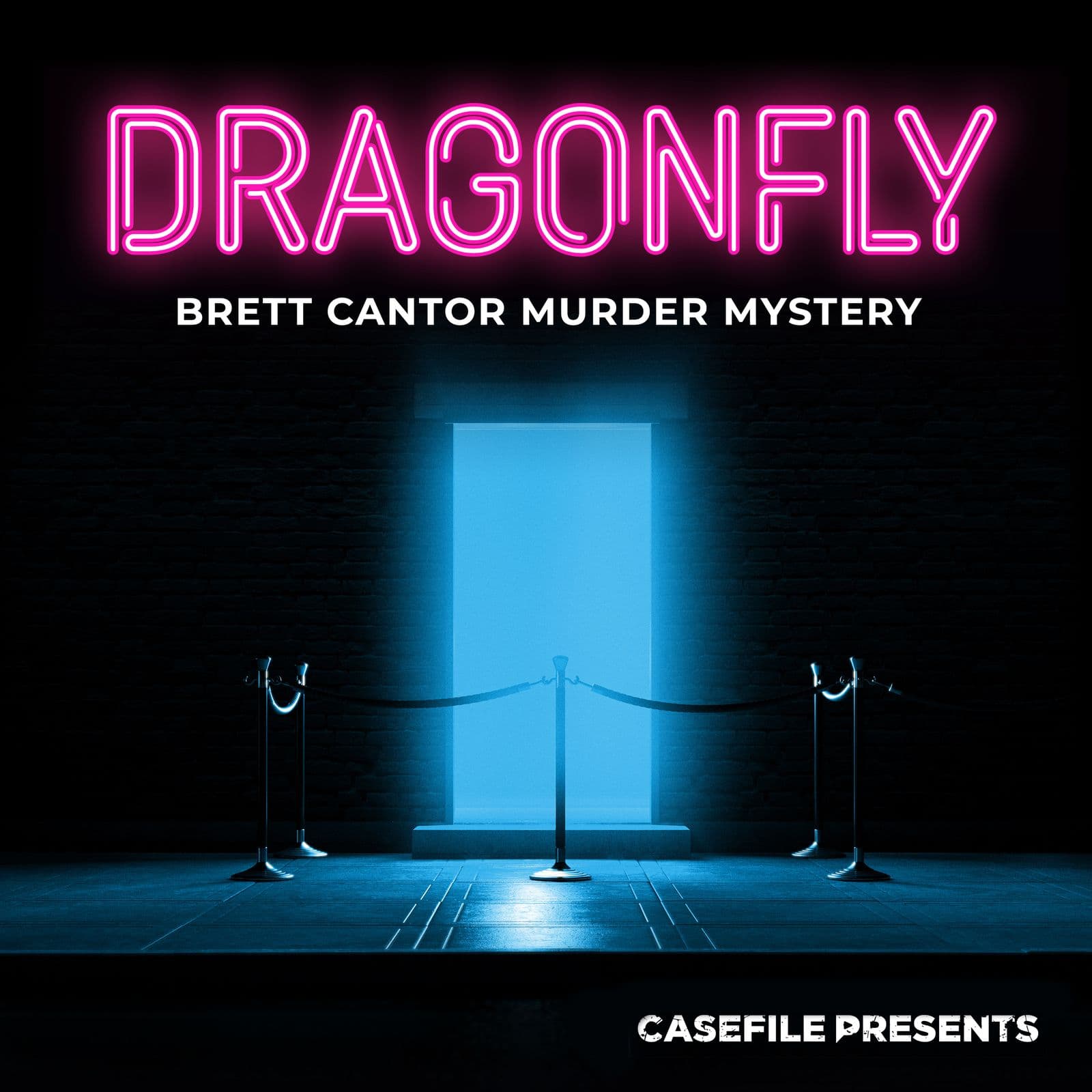 Dragonfly: Brett Cantor Murder Mystery cover