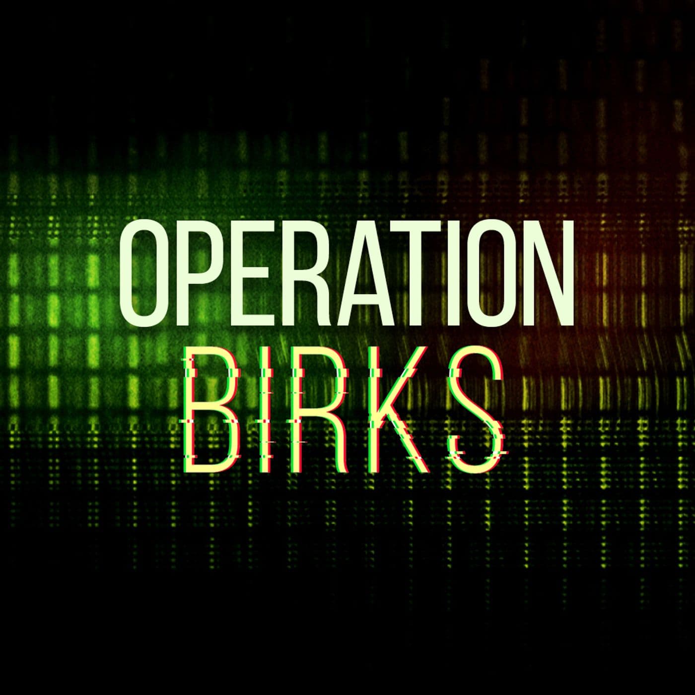 Operation Birks - Crime Interrupted cover