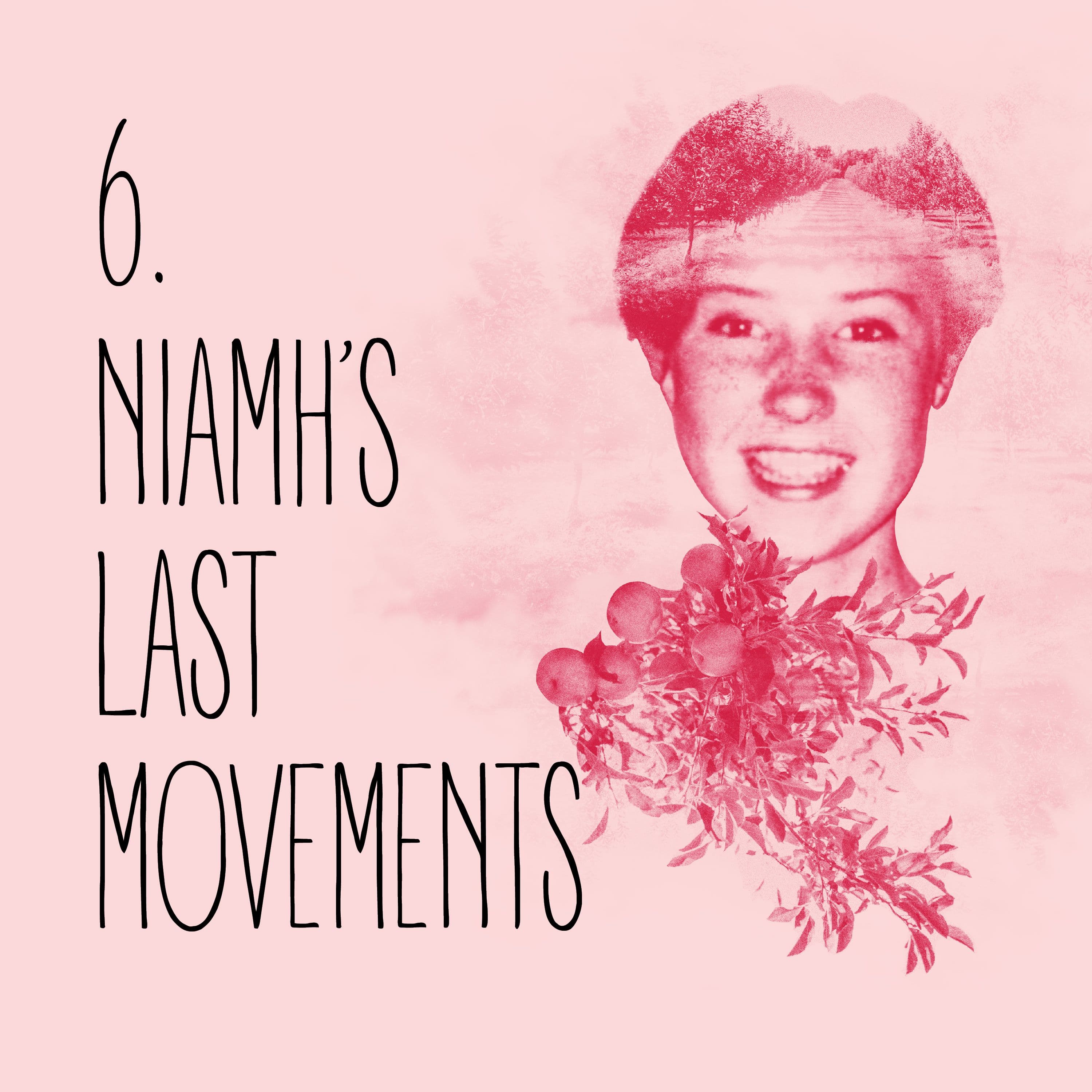 Episode 6: Niamh’s last movements - Missing Niamh cover
