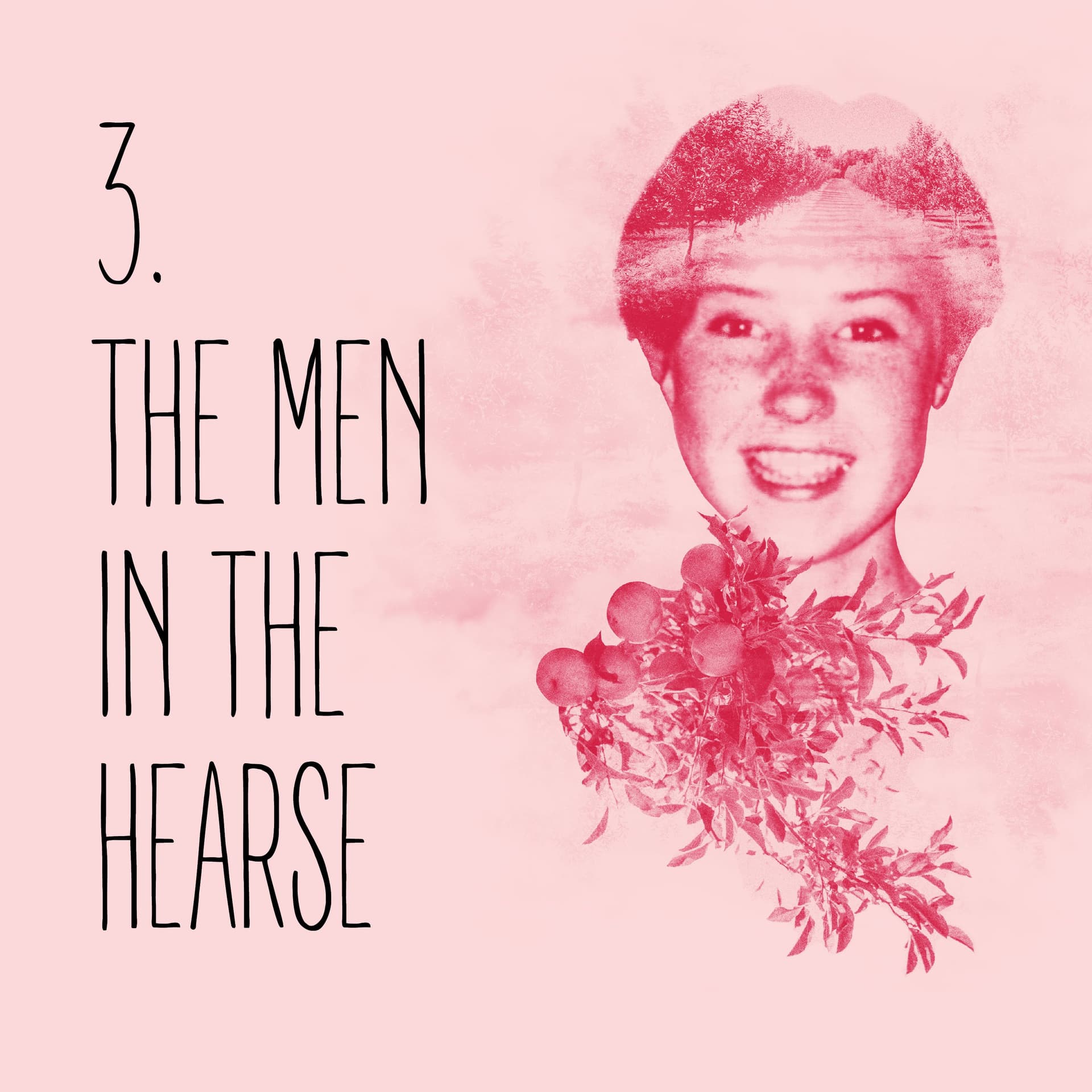 Episode 3: The men in the hearse - Missing Niamh cover