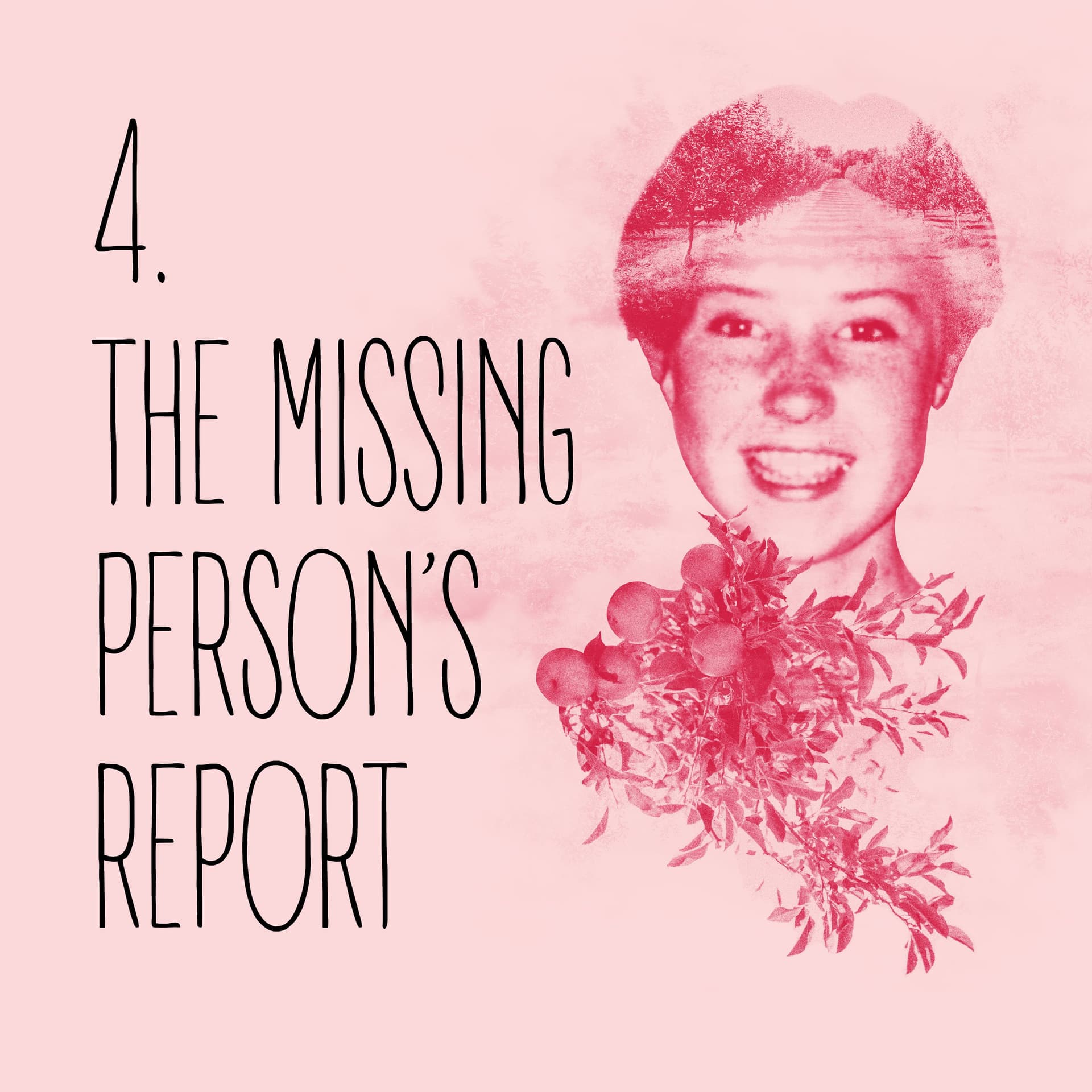 Episode 4: The missing person’s report - Missing Niamh cover
