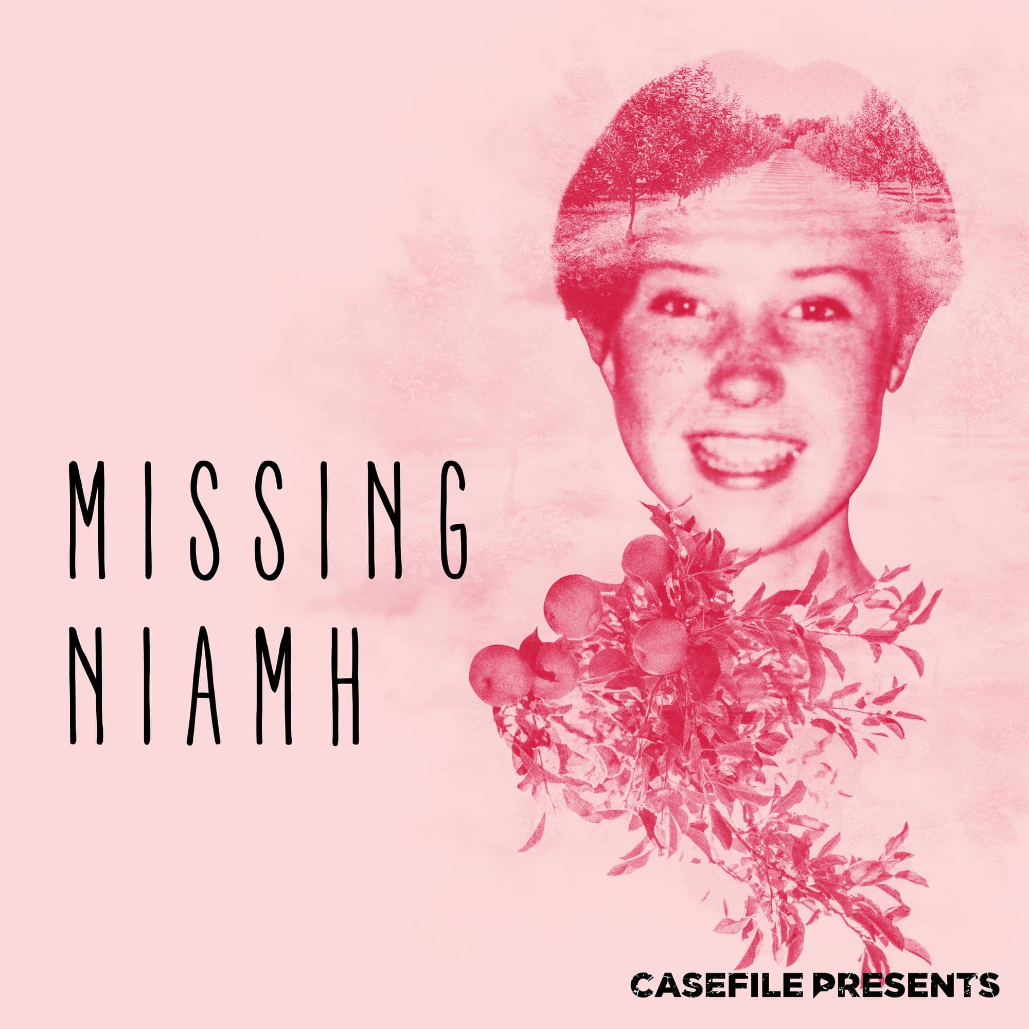 Missing Niamh cover