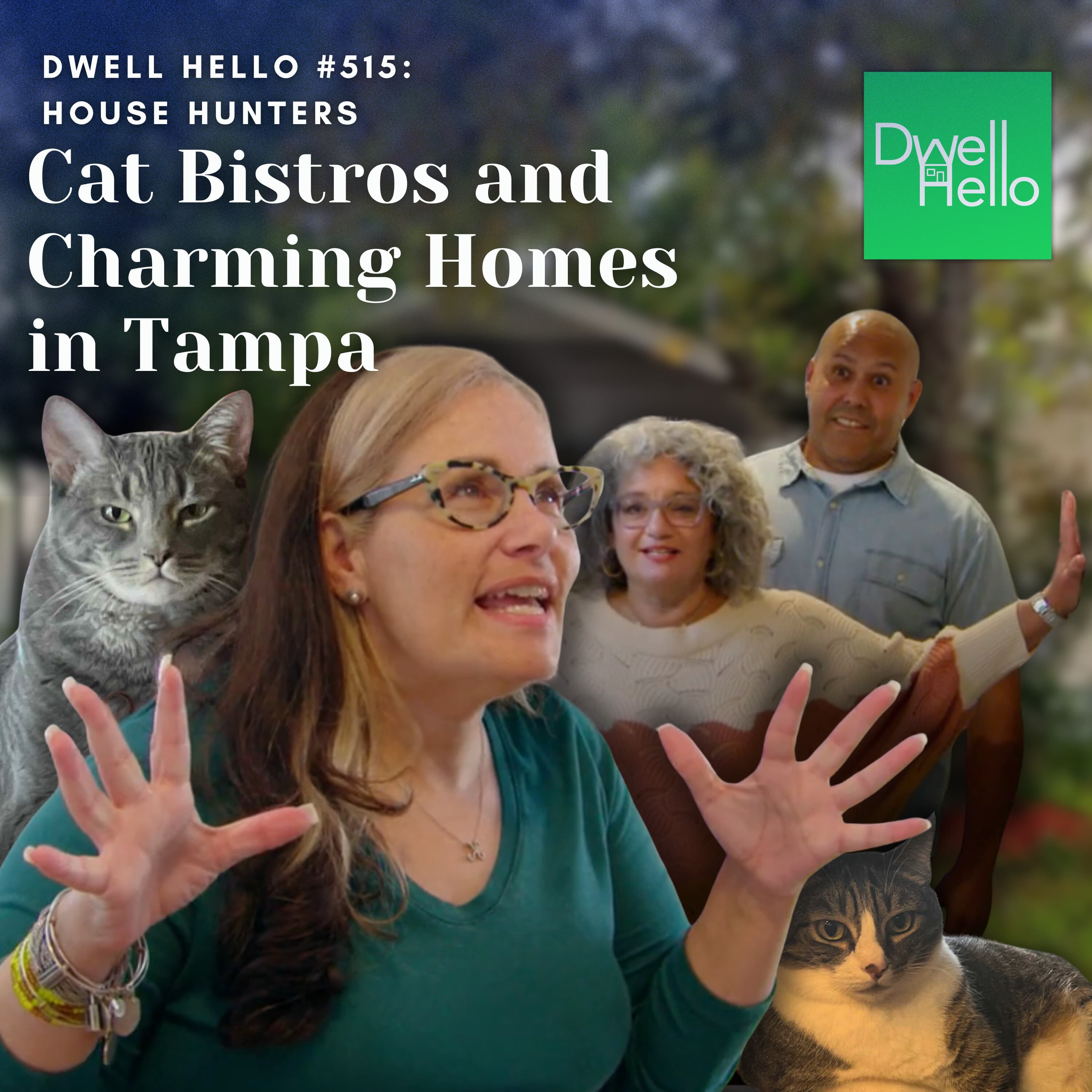 Dwell Hello #515: Cat Bistros and Charming Homes in Tampa - Watch What Crappens cover