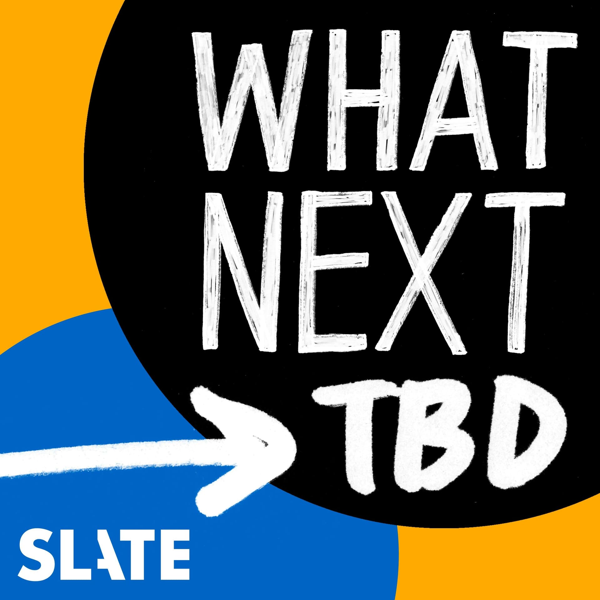 What Next - TBD | Everybody Sues Facebook - Slate News cover