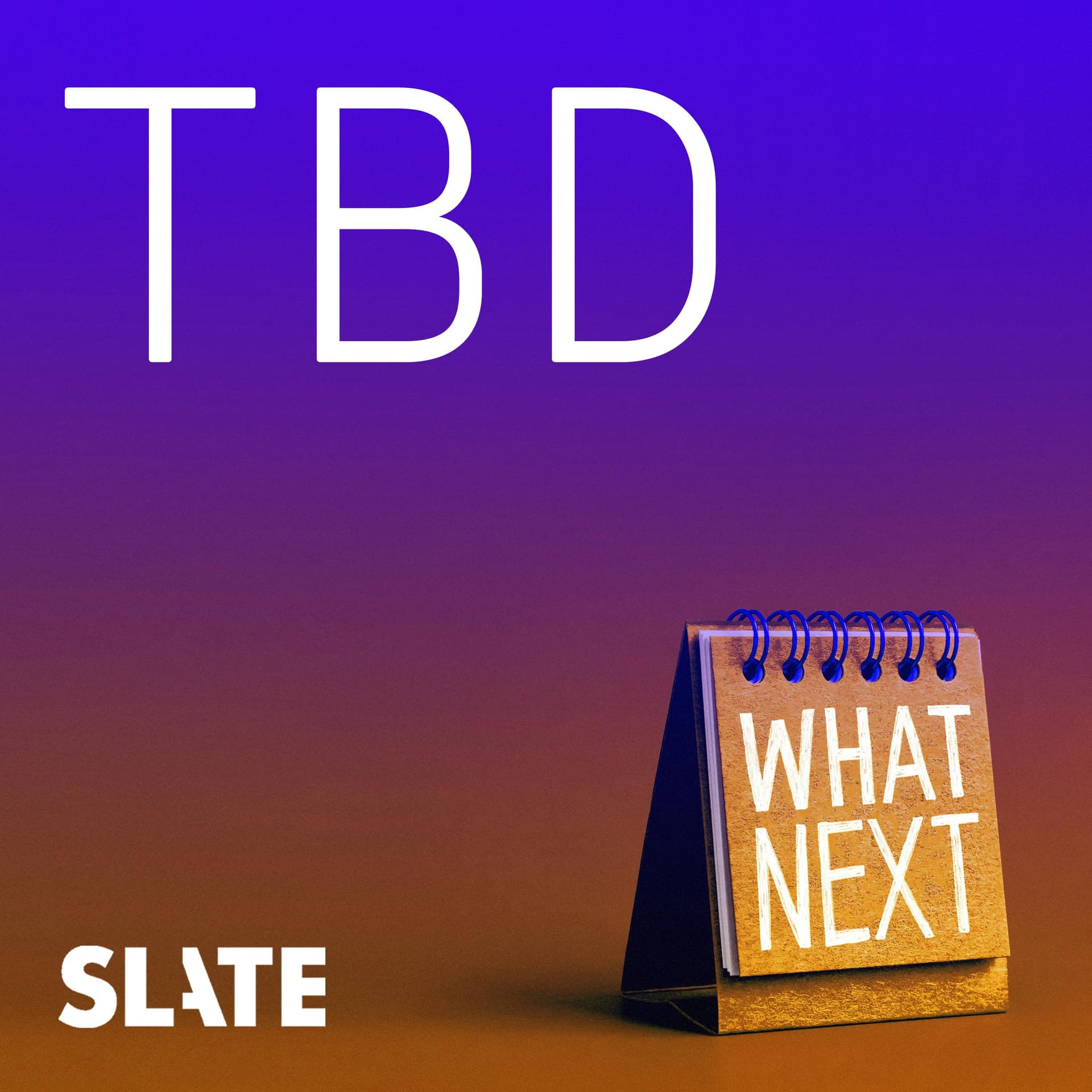 What Next: TBD | Tech, power, and the future - Does Google Suck Now? - Slate Daily Feed cover