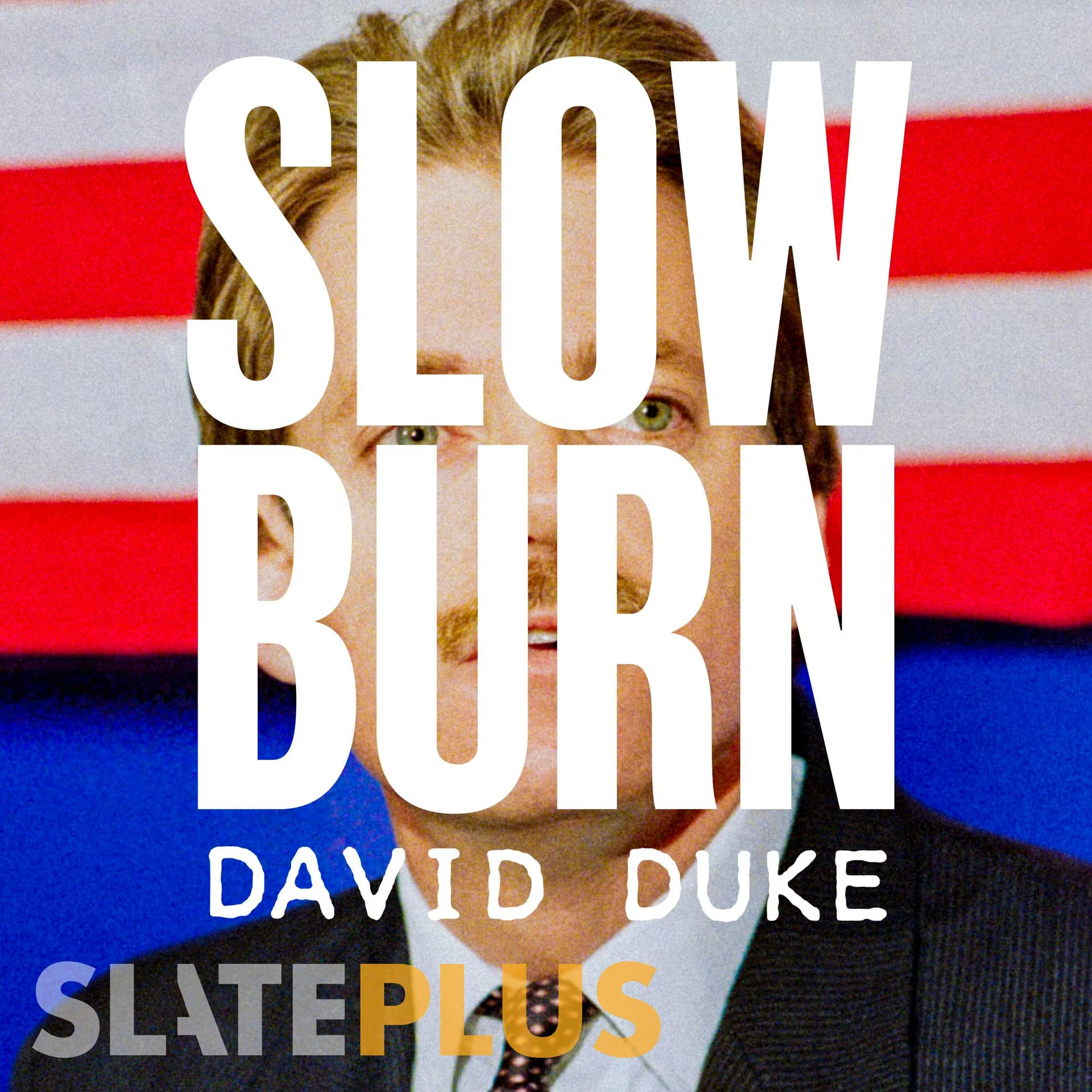 David Duke | 6. A Concerned Citizen - Slow Burn cover