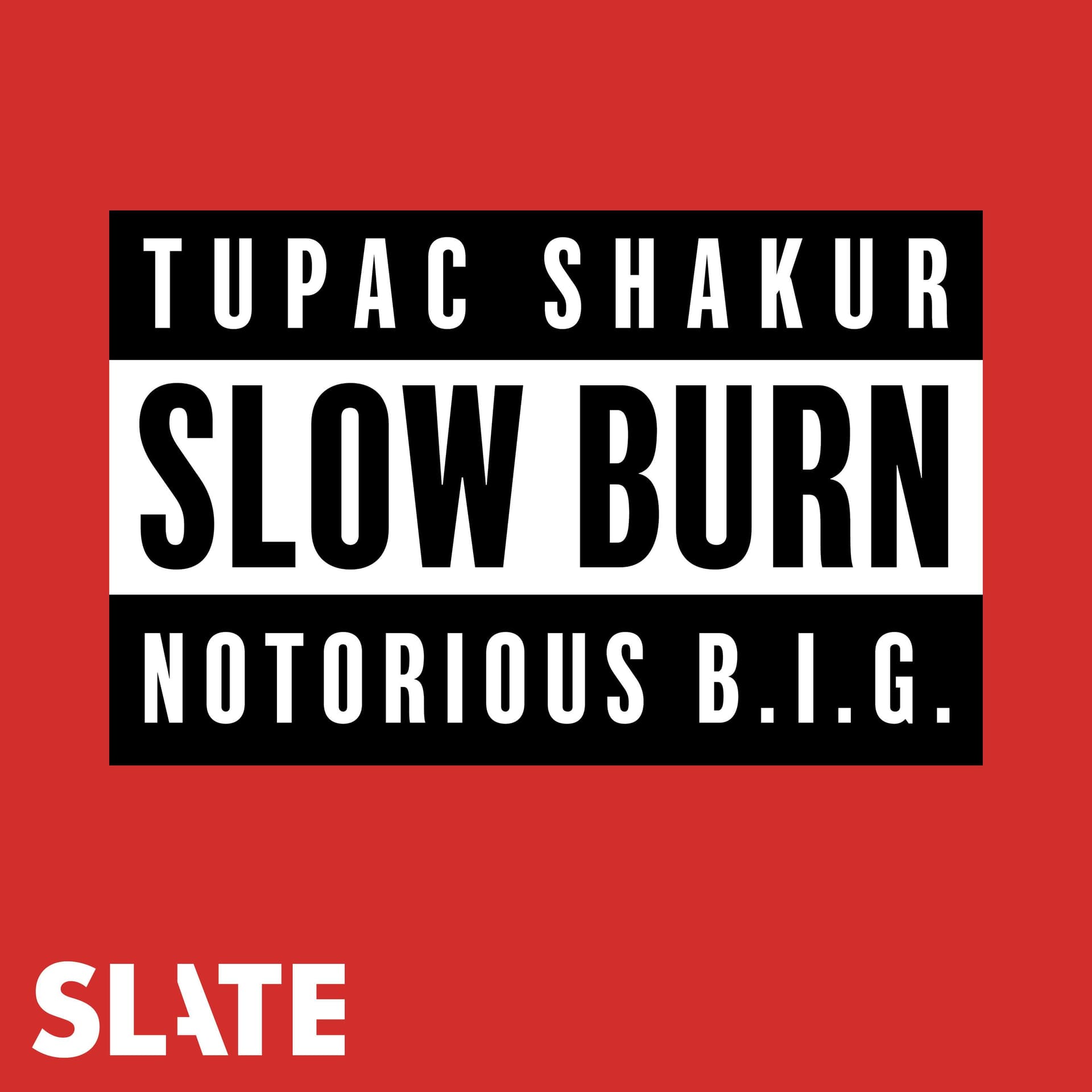 Live: Party & Bullshit - Slow Burn cover