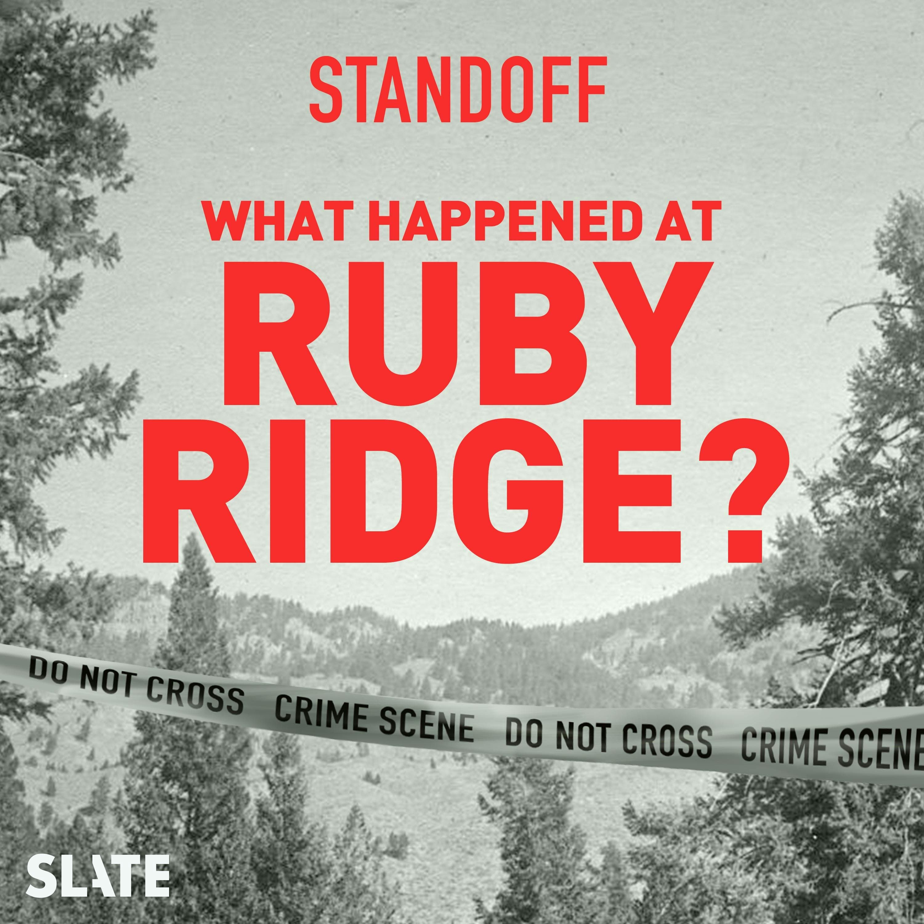 Standoff: What Happened at Ruby Ridge? cover