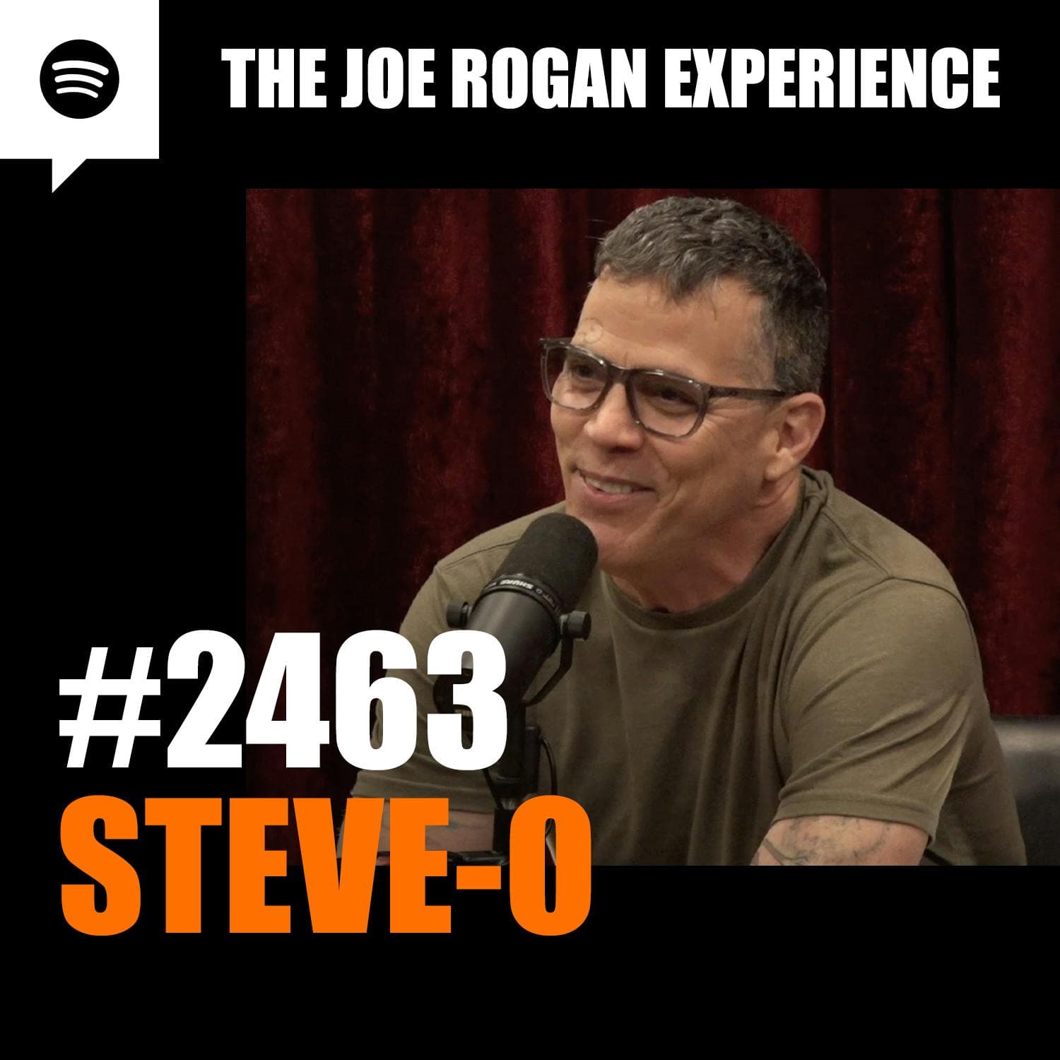 #2463 - Steve-O - JRE Archived Research Series One cover