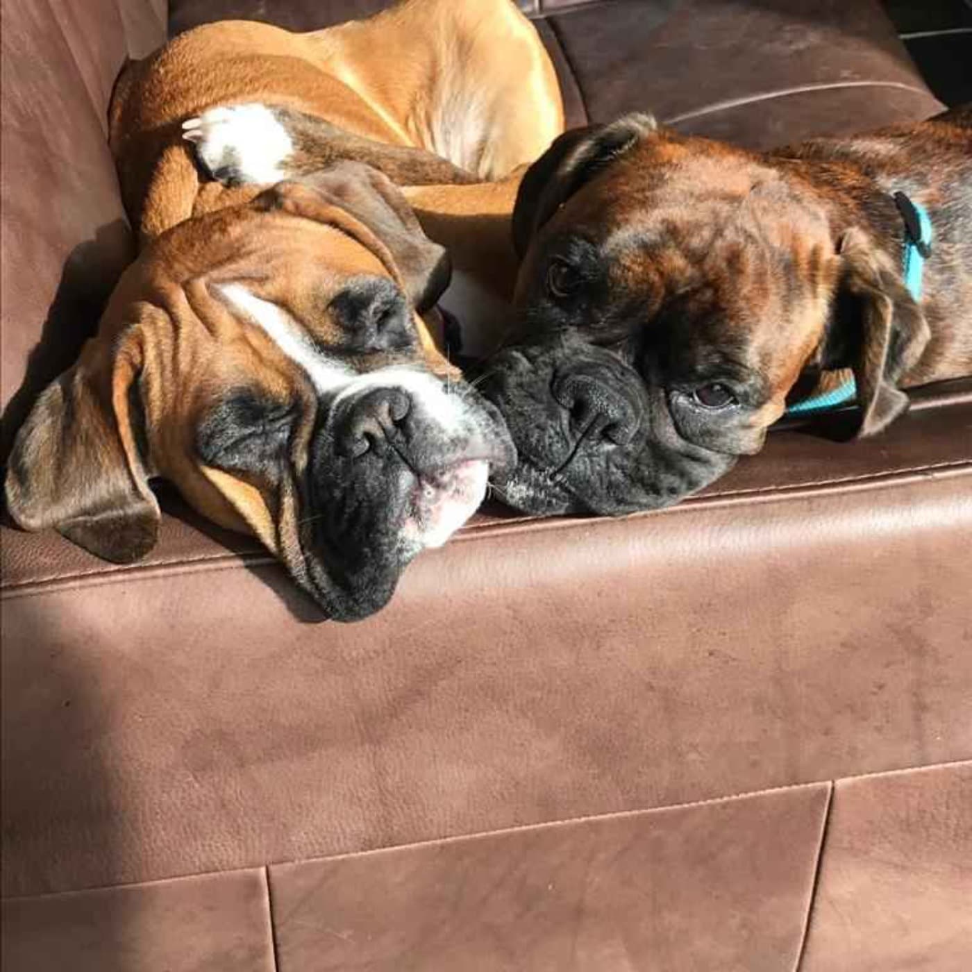 Sue and Johnny - Everything and Anything cover