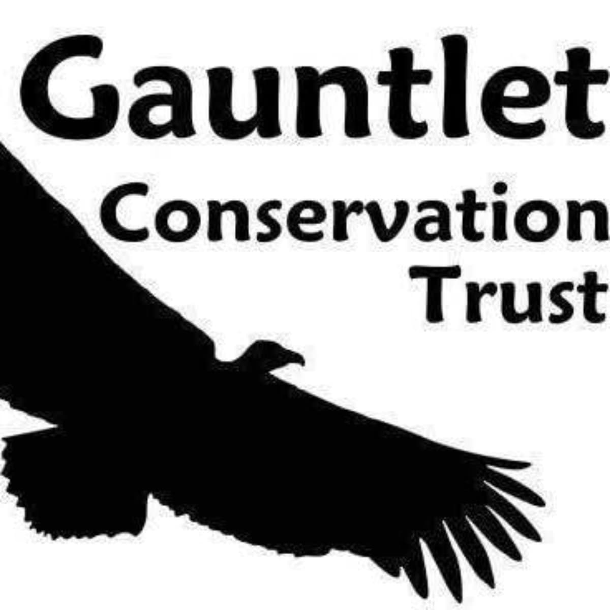 A Friend of Gauntlet - Gary Jones Wildlife Photography - The Gauntlet Conservation Podcast cover