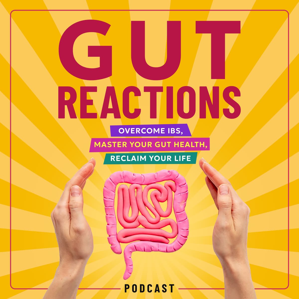 #74. If You Think You'll NEVER Cure Your IBS, Do This 1 Thing : IBS, Irritable Bowel Syndrome & Gut Health - Gut Reactions: Overcome IBS & Irritable Bowel Syndrome Symptoms, Master Your Gut Health, Calm Your Nervous System cover