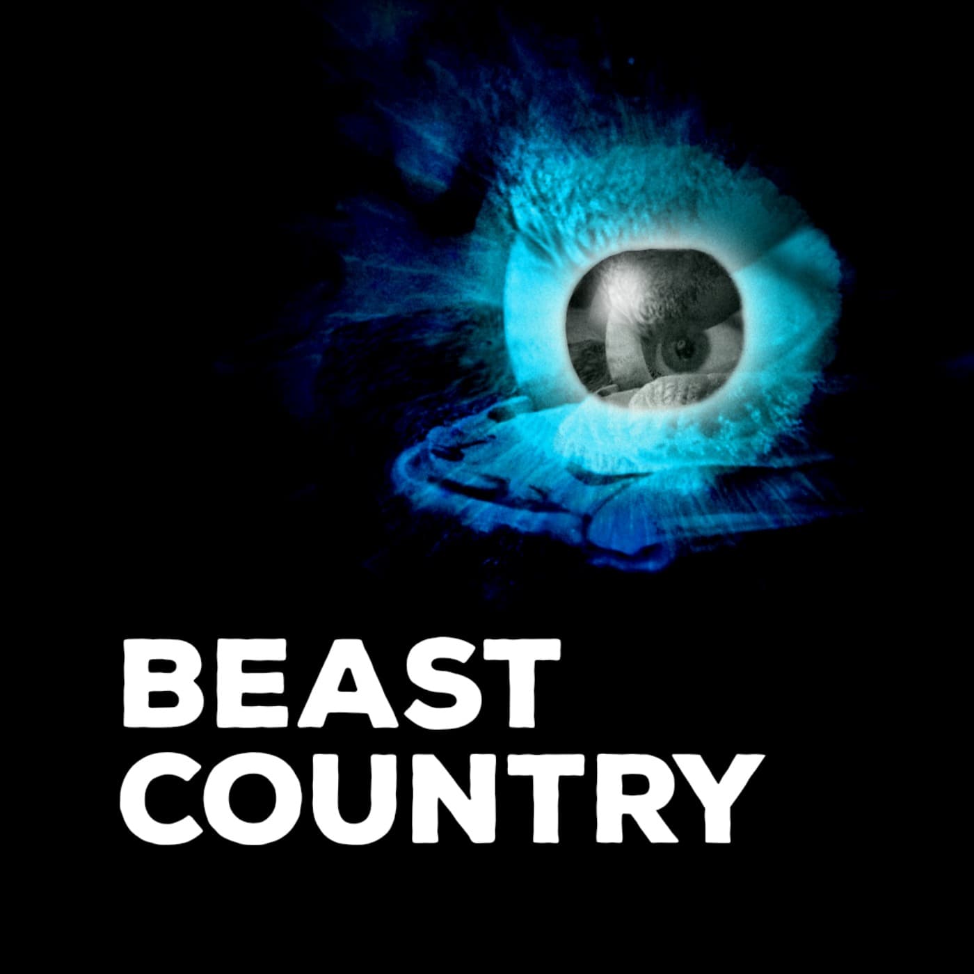 Beast Country: Chapter One: "An irreconcilable fact" - Beast Country cover