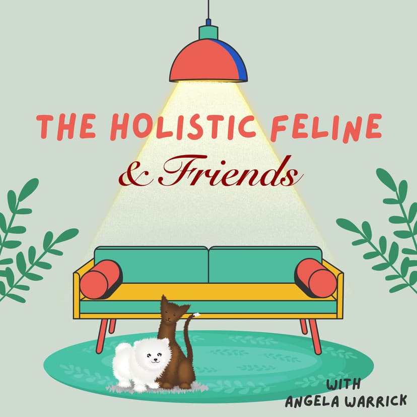 The Holistic Feline & Friends cover