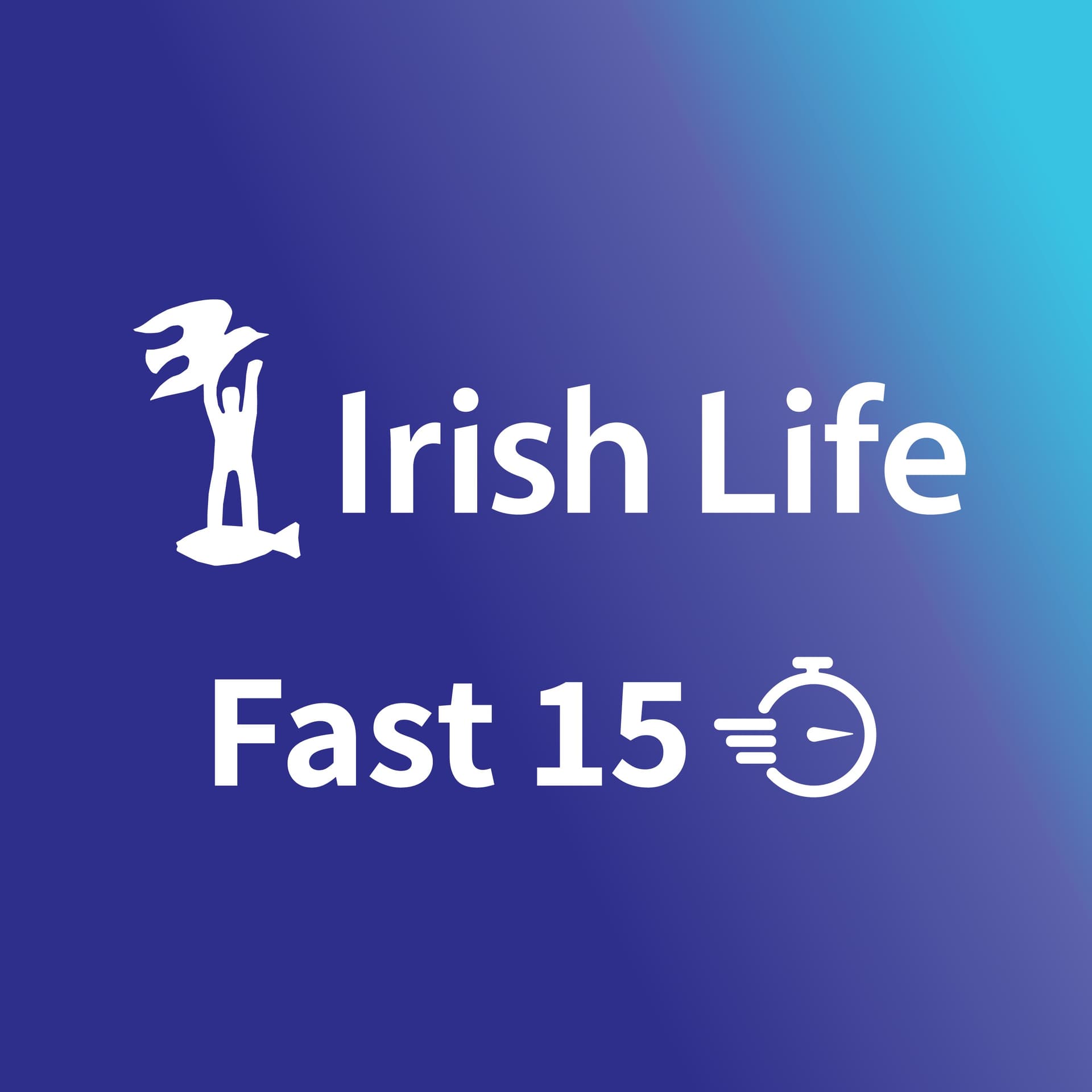 Fast 15 cover