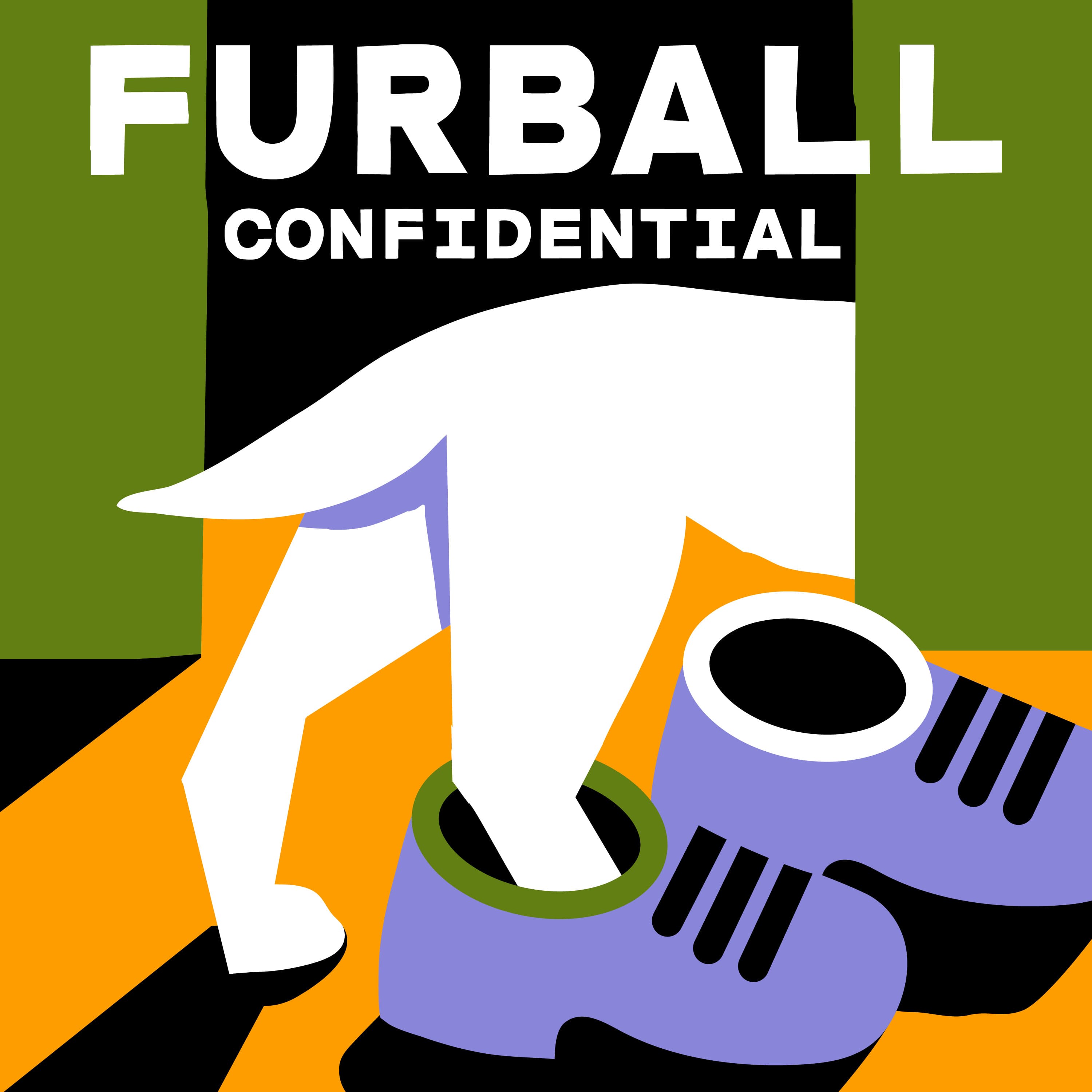 Furball Confidential cover