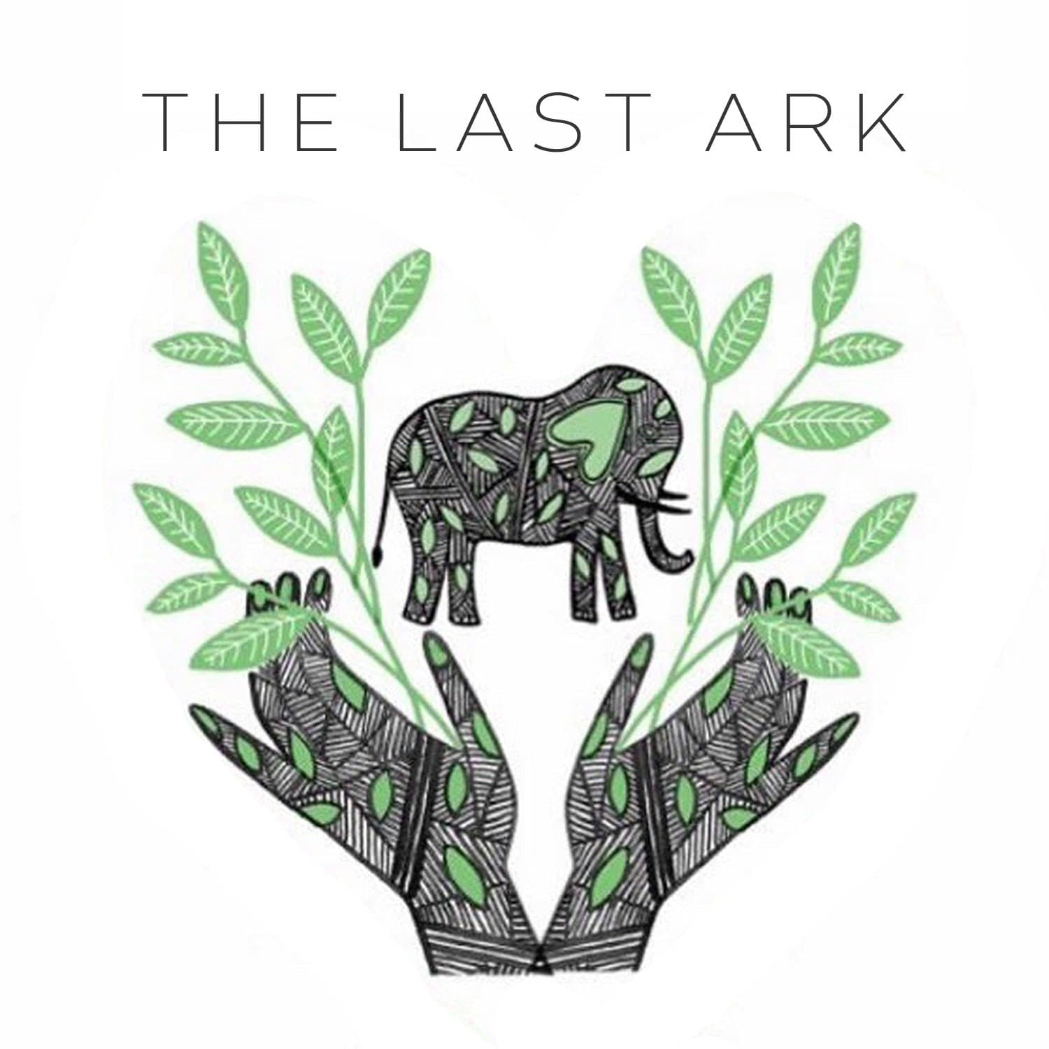 The Last Ark cover
