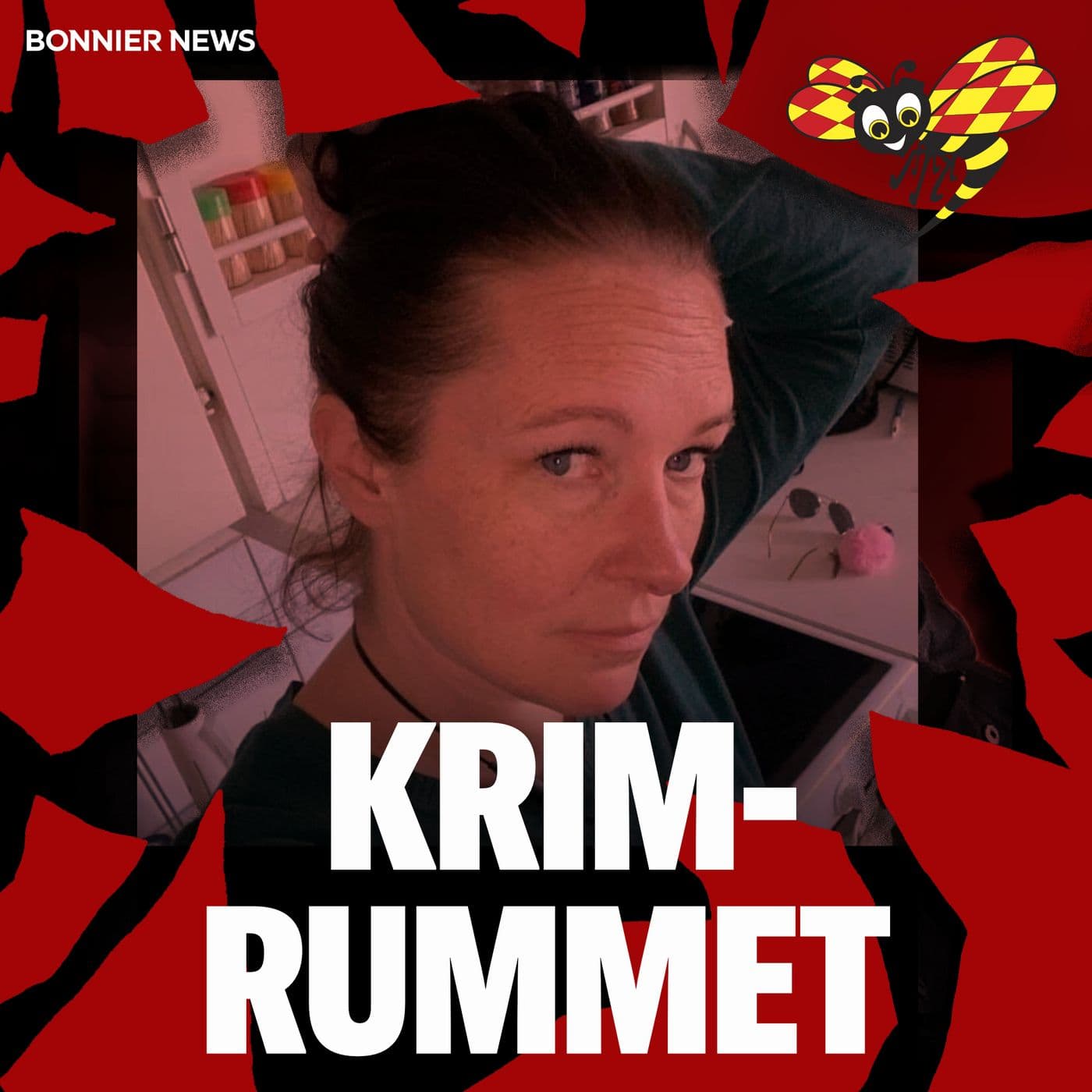 Mordet på Annelie – spårlöst försvunnen efter julbordet — Krimrummet cover
