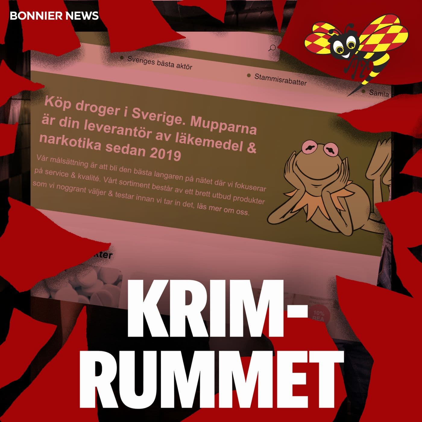 Operation "Brevduvan" – så stoppade polisen knarkbreven — Krimrummet cover