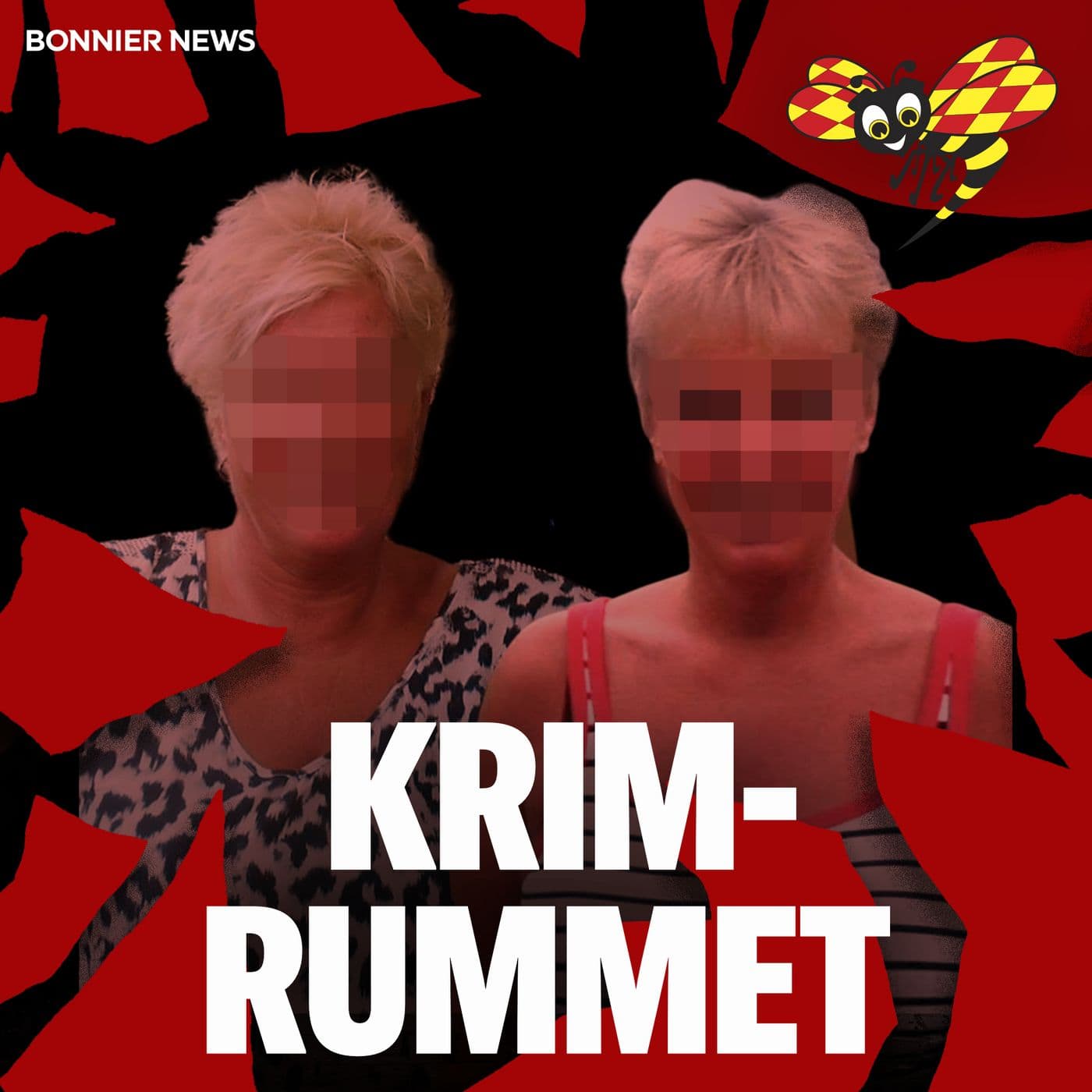 Arvsstriden – 60-åriga systrarna ville mörda sin pappa i Jönköping - Krimrummet cover