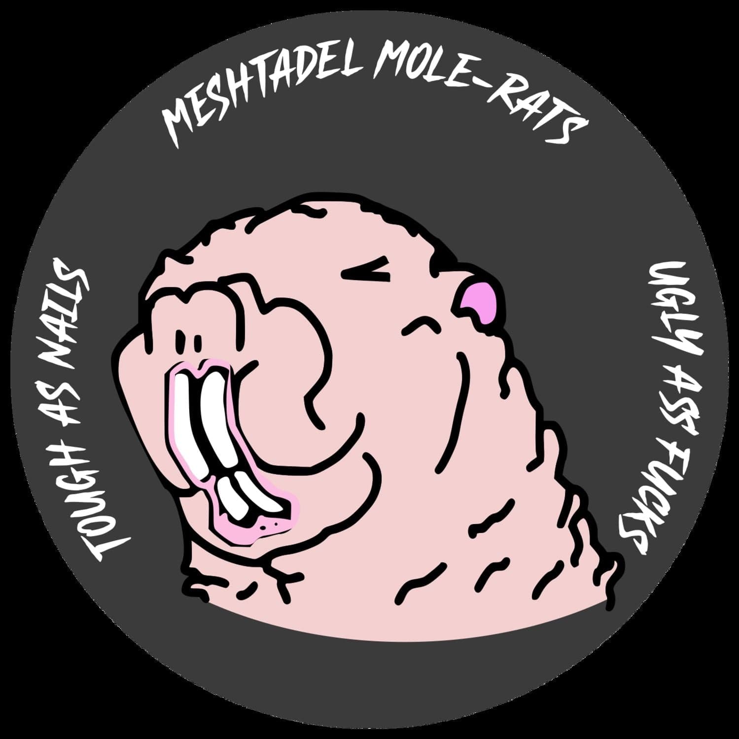 FF2: Fundamentals of Blockspace Markets - Fundamentals of Fundamentals cover