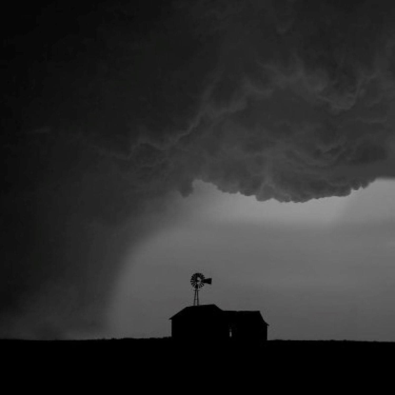 Episode 27: The ICE Bridge to Digital ID - The No Pill Podcast cover