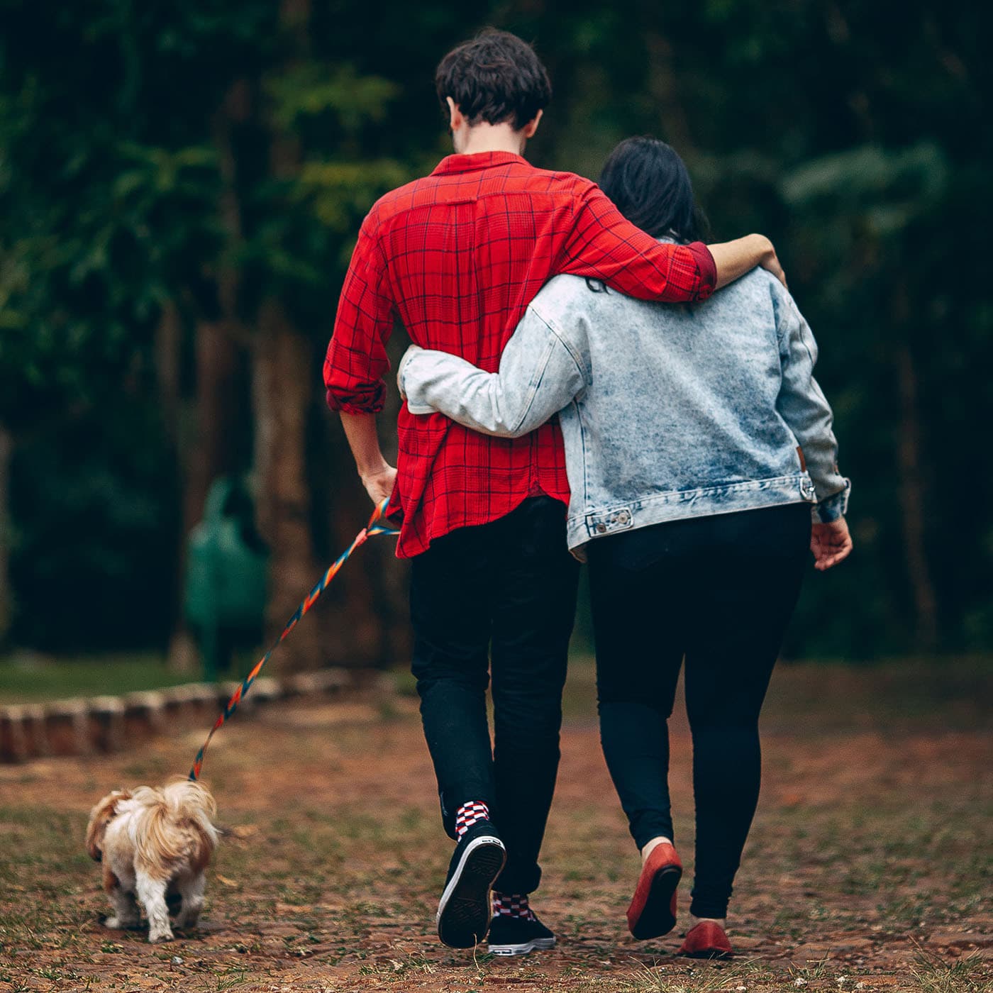 Family Romance - Dr Sol Goldstein cover