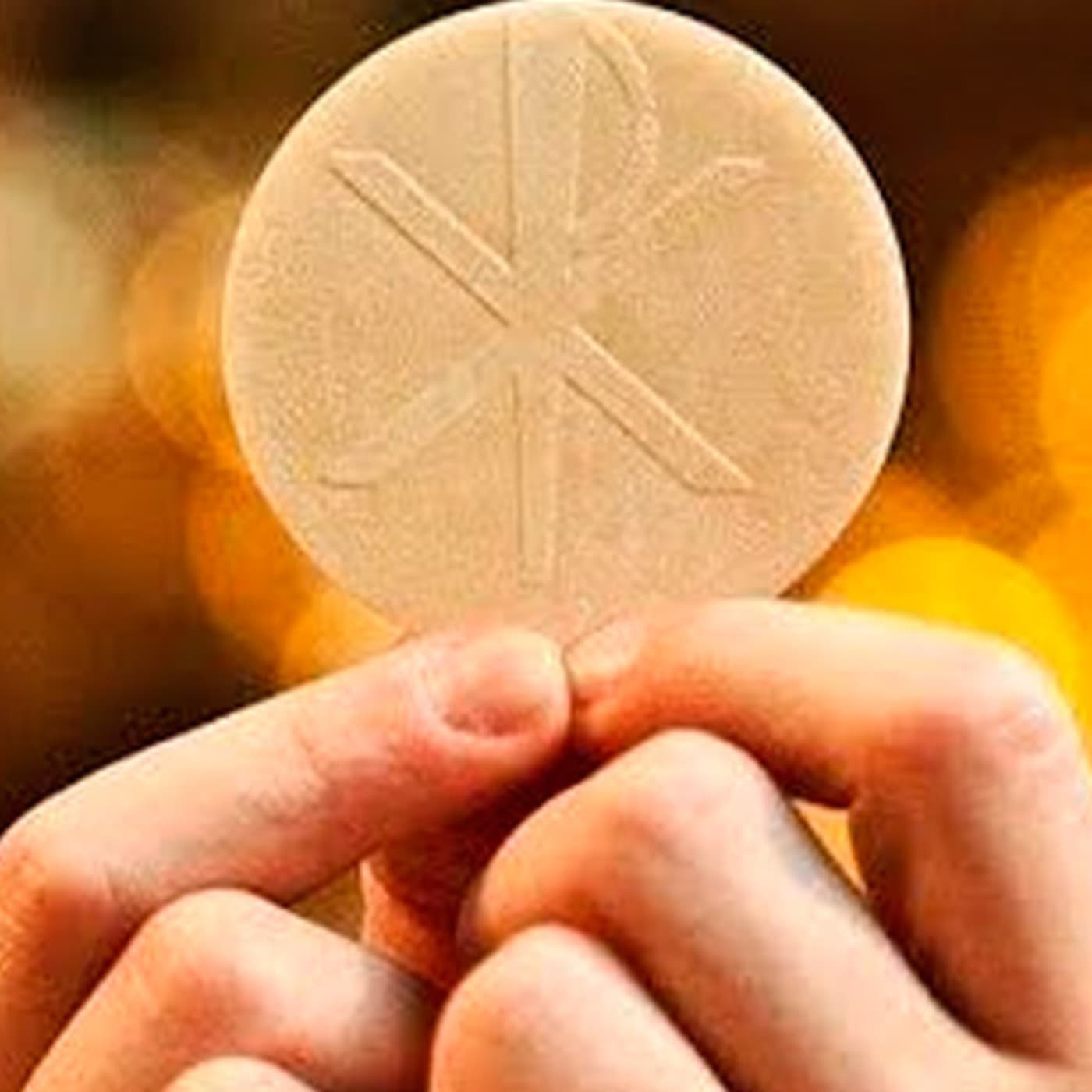 Episode 281: Burning Hearts & The Eucharist - Fr. Jim's Weekly Homily cover