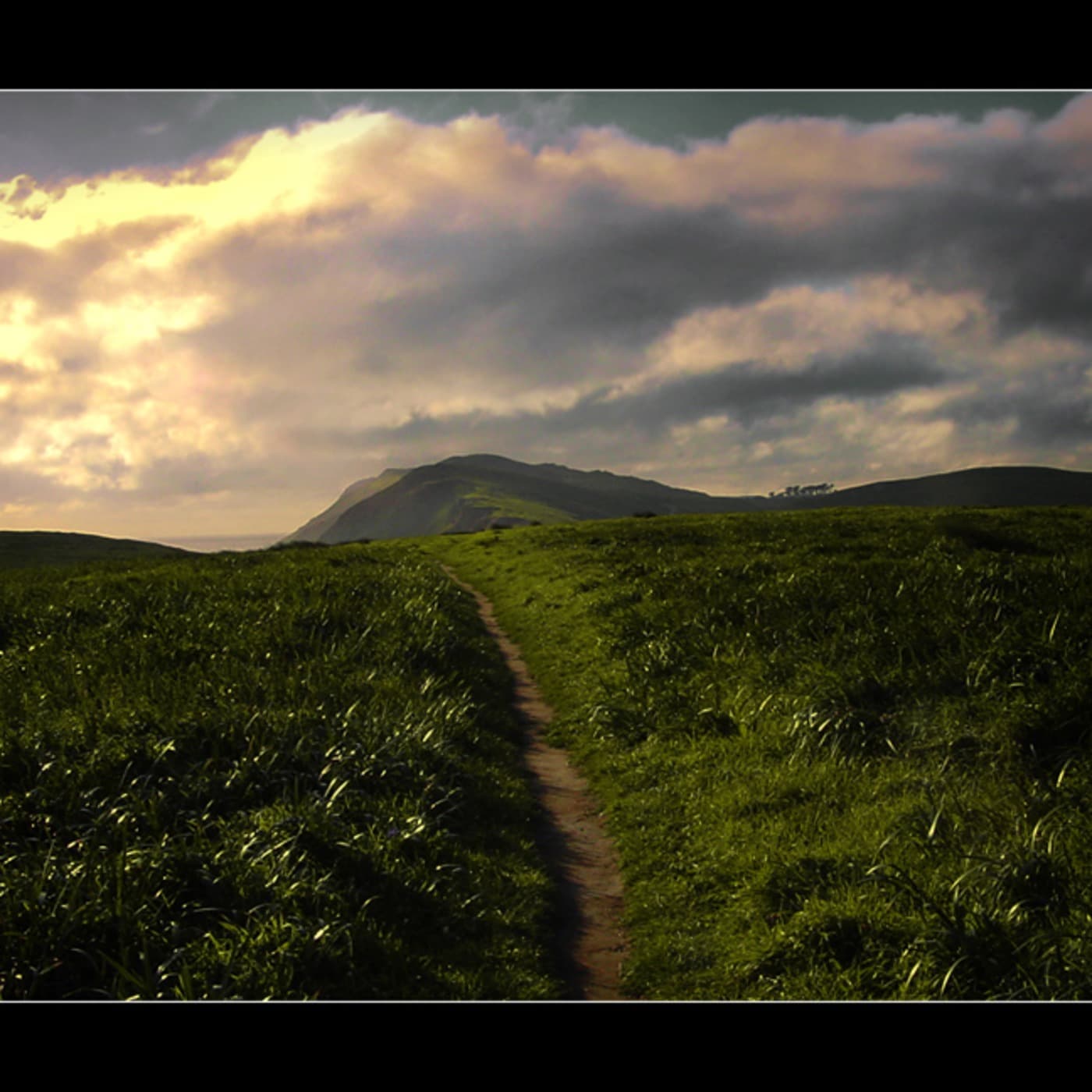 Fifth Dimension -  Progressive path - Fifth-Dimension cover