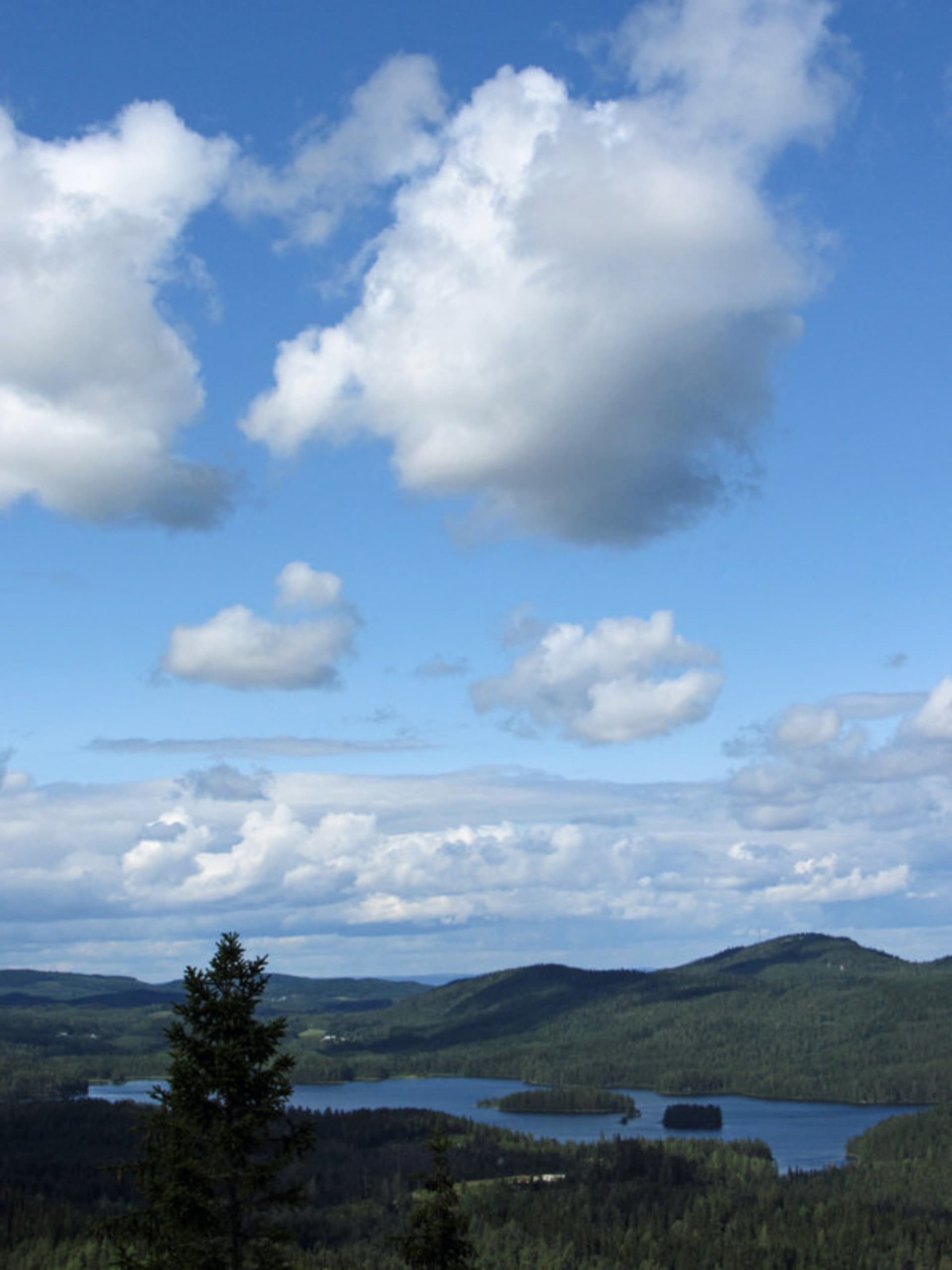 THE HEART OF TORAH 1 - Marvin Davis' Podcast cover