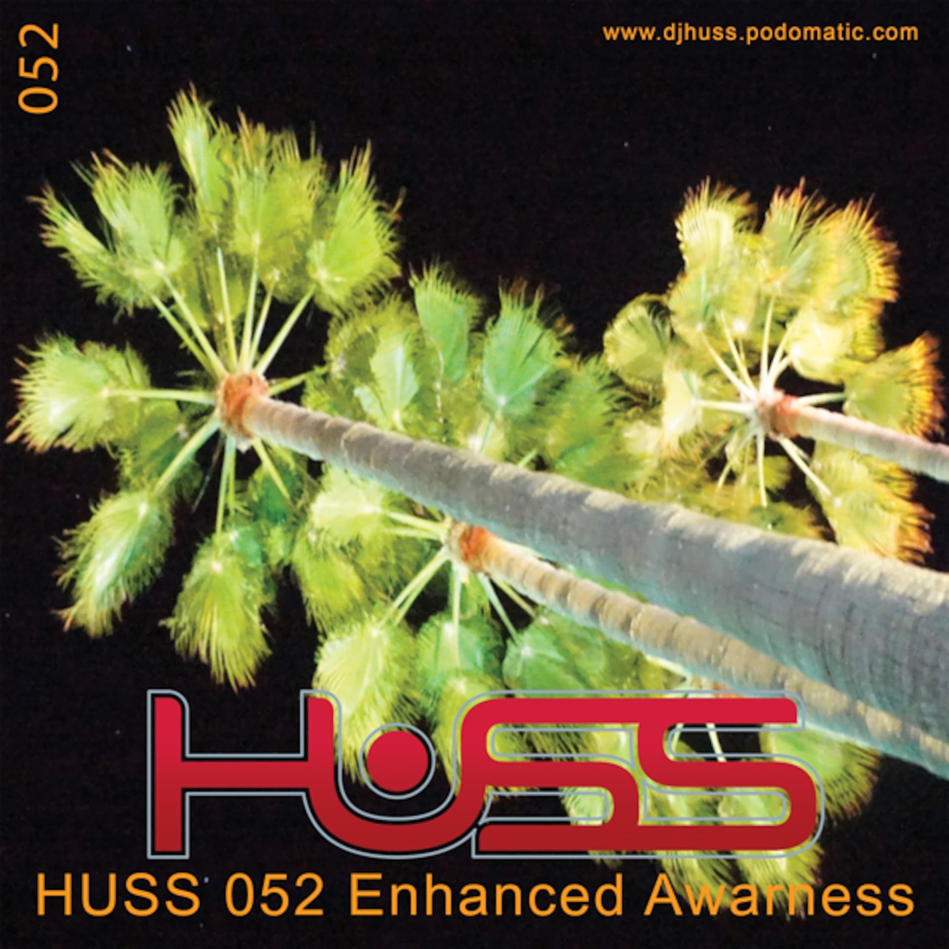 HUSS 052 Enhanced Awareness - HUSS cover