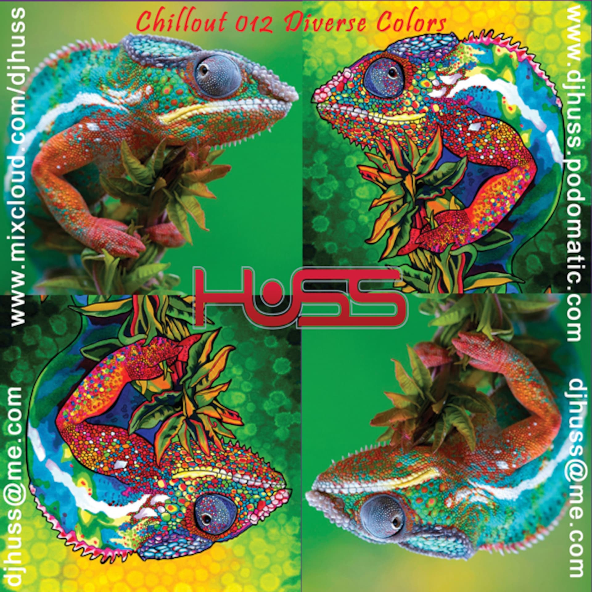 HUSS Chillout 012 Diverse Colors - HUSS cover