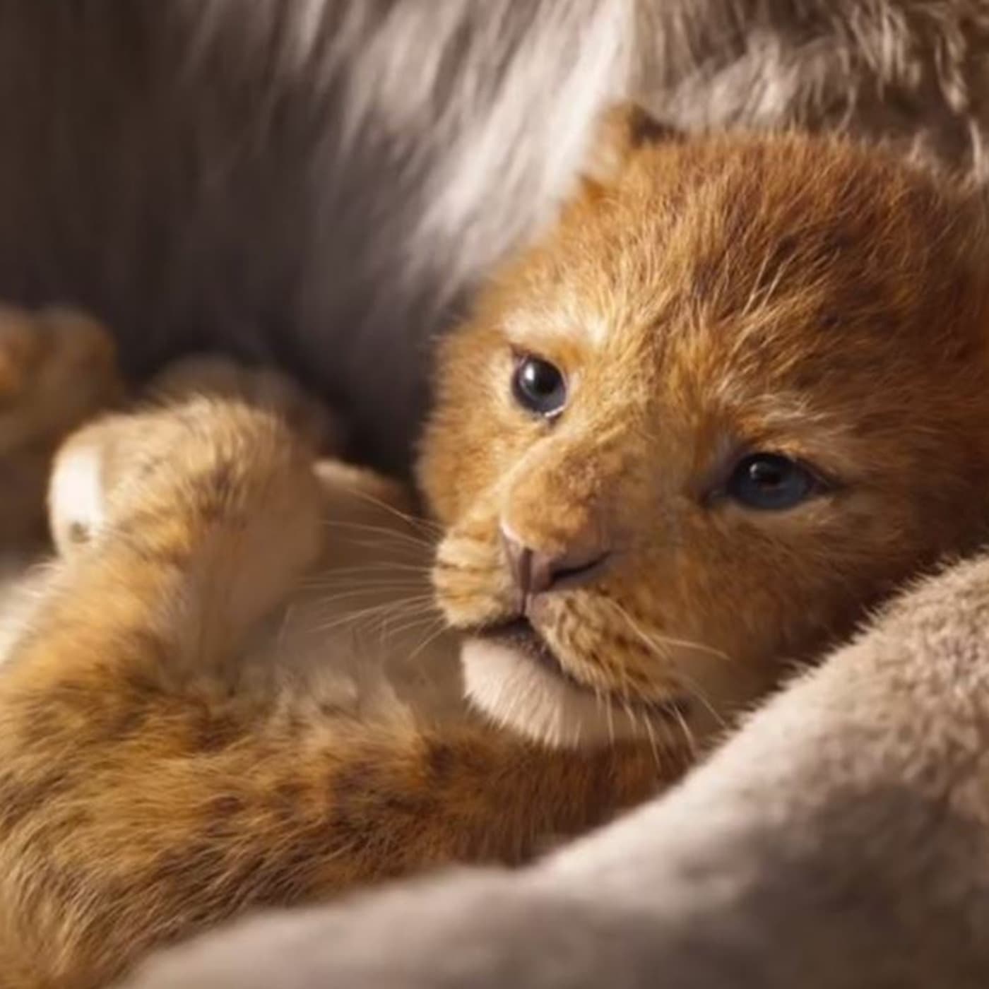 Look Up In The Sky Episode 109- The Lion King Trailer — Look Up in The Sky cover
