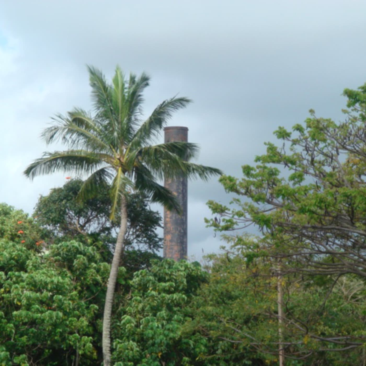 Hawaiian Playlist cover