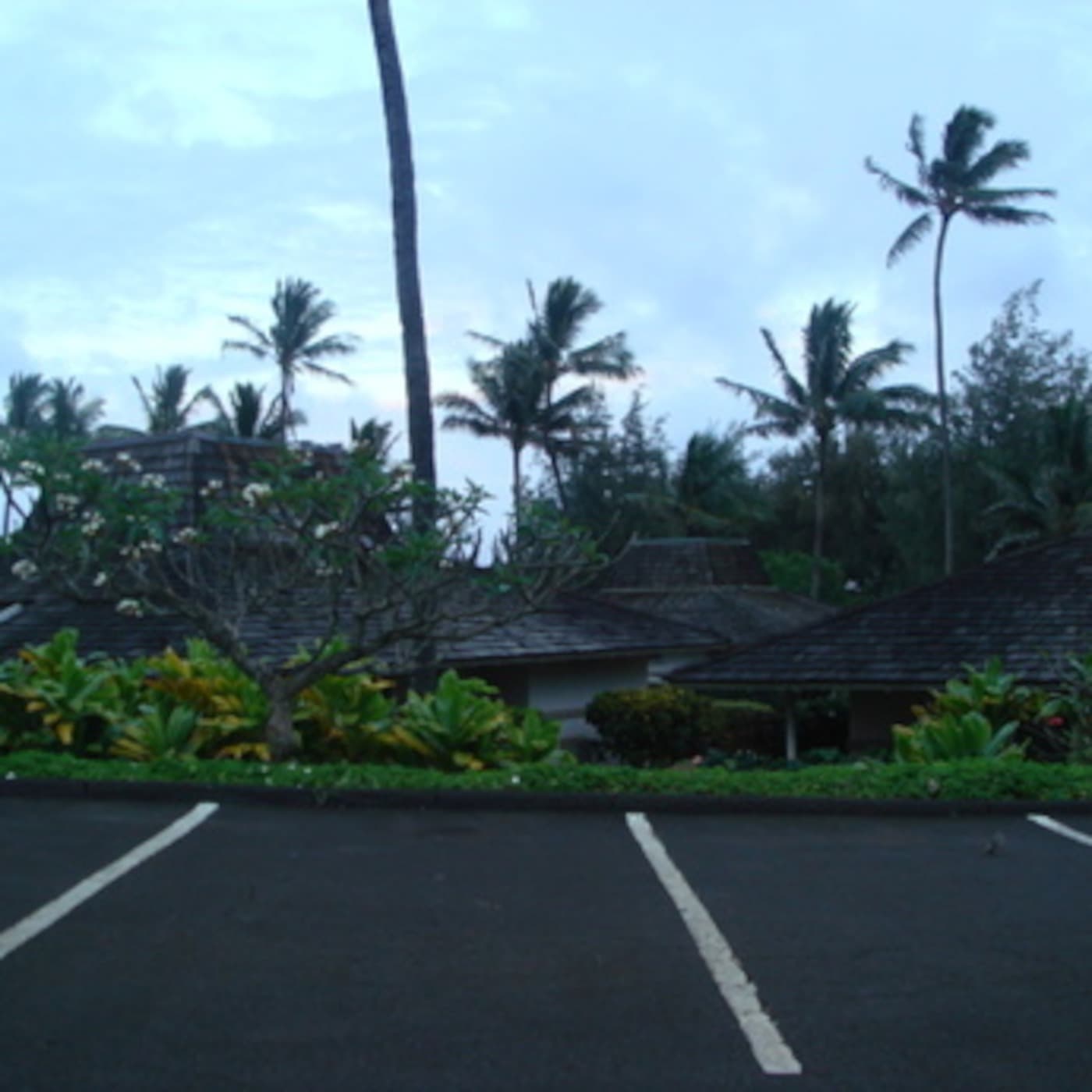 One Chance - Hawaiian Playlist cover