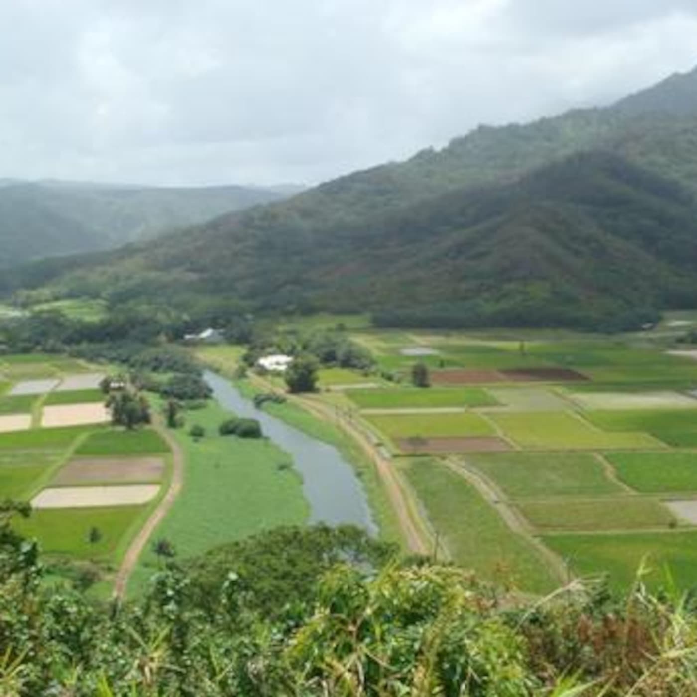 Deeper in love - Hawaiian Playlist cover