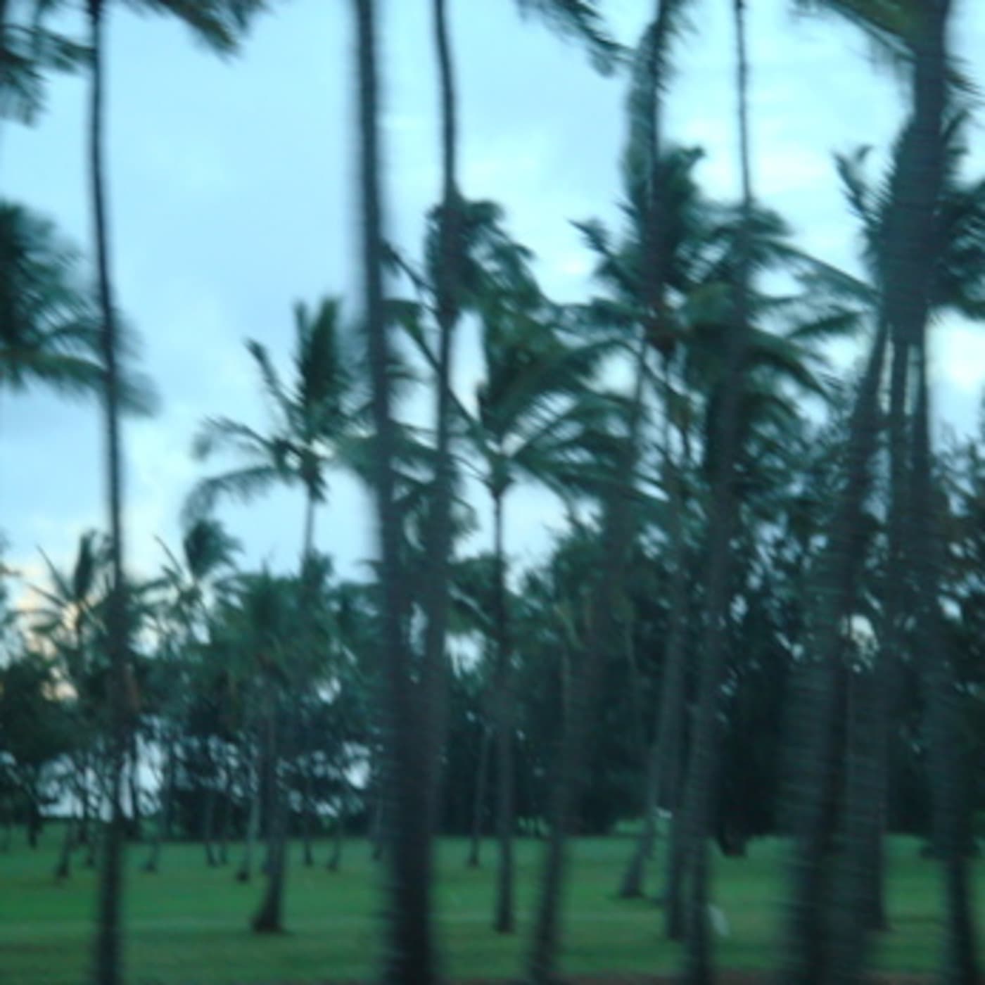 Aloha No Kawika - Hawaiian Playlist cover