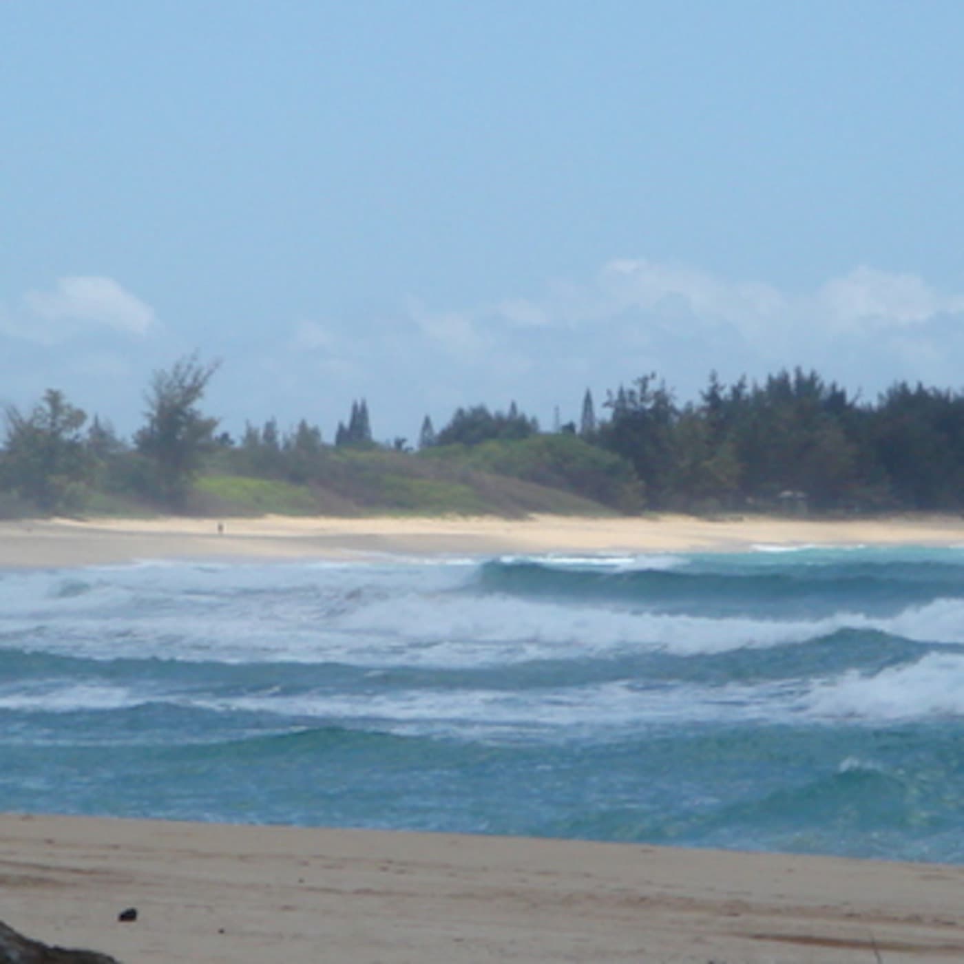 Whatever makes you happy - Hawaiian Playlist cover