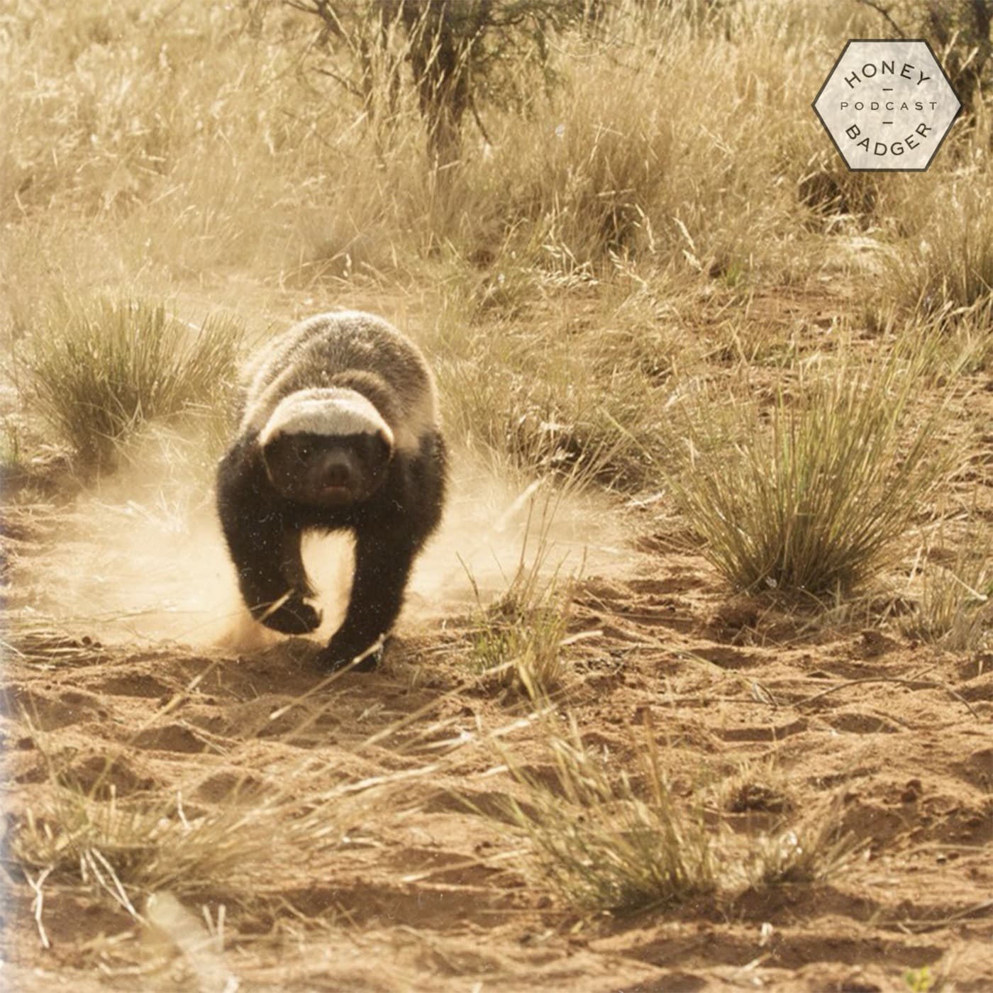 [HBP005] JNS - A New Beginning (vinyl only) — Honey Badger Podcast cover