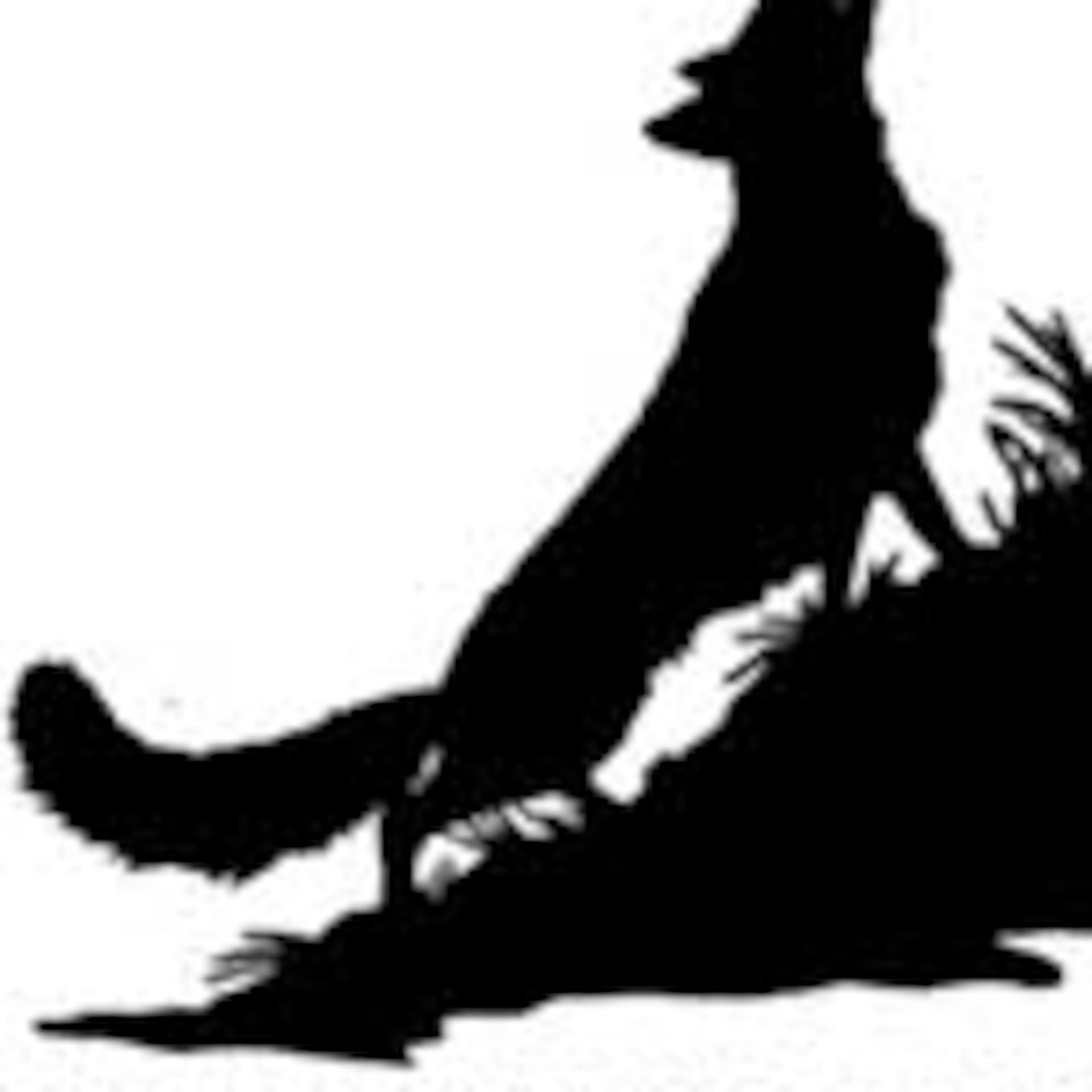 Wolf Hollow - Gavin Cromwell's Podcast cover