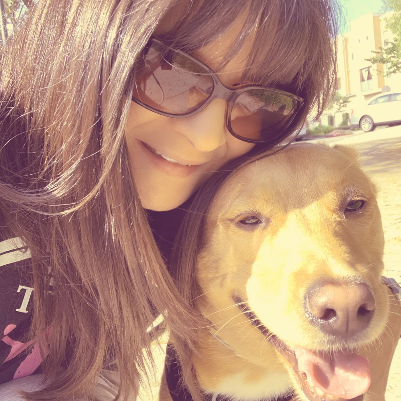 The Sassy Realtor cover