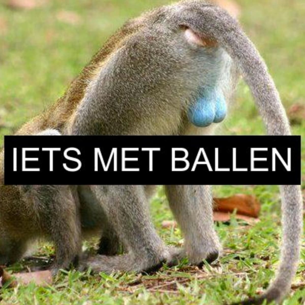 Iets met ballen - 03/10/2016 - E01 - Iets Met Ballen cover